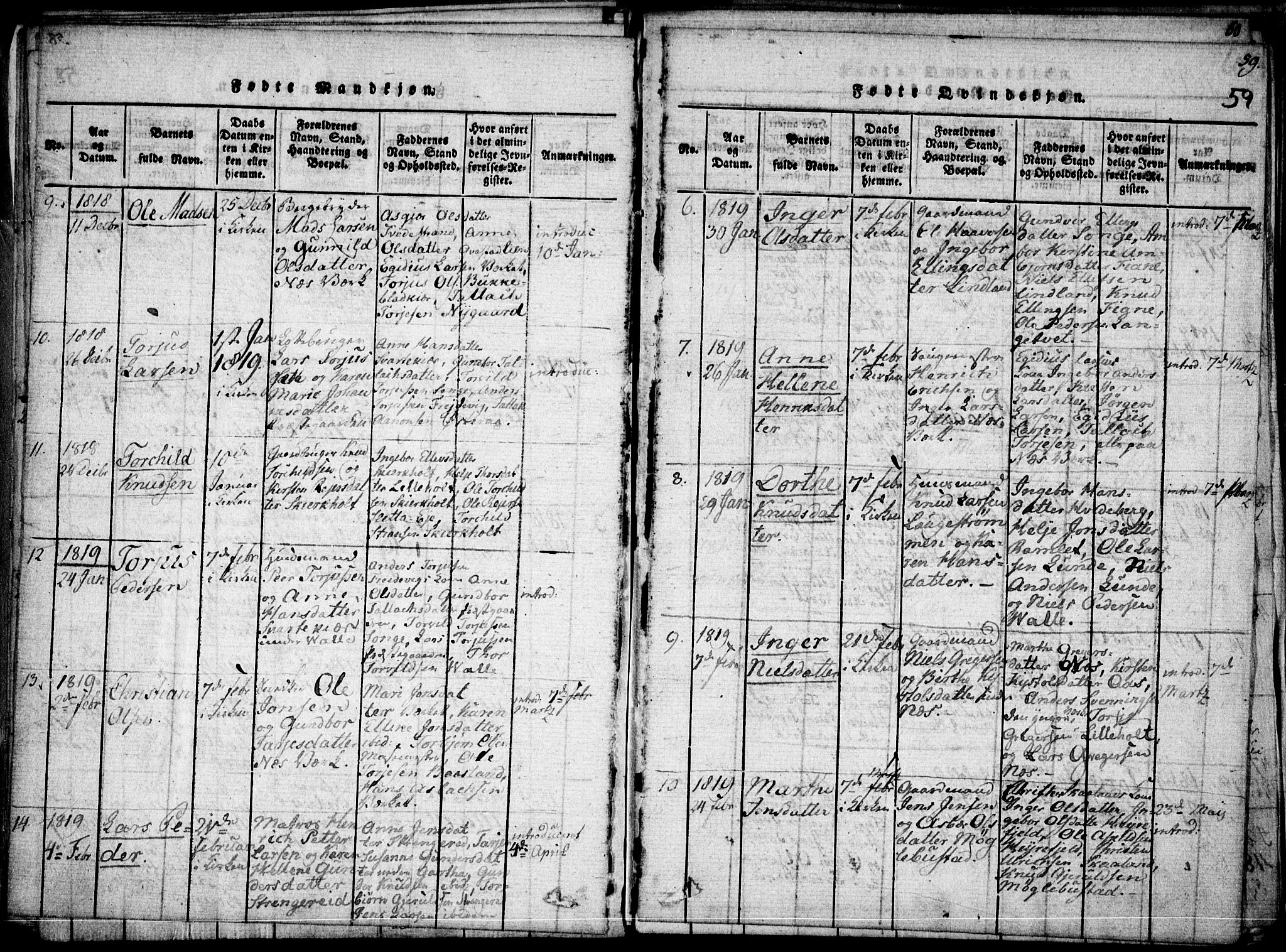 Holt sokneprestkontor, AV/SAK-1111-0021/F/Fa/L0005: Parish register (official) no. A 5, 1813-1821, p. 59