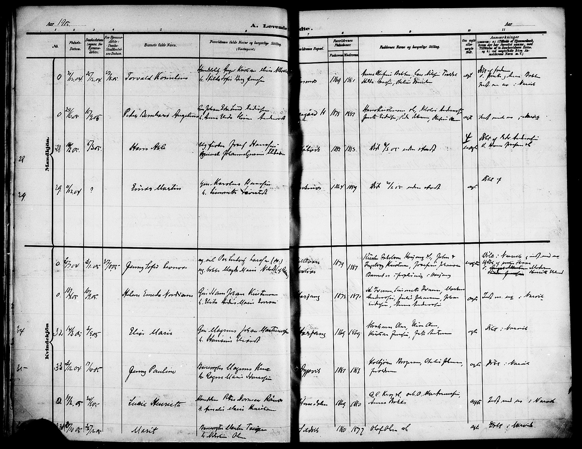 Ministerialprotokoller, klokkerbøker og fødselsregistre - Nordland, AV/SAT-A-1459/866/L0954: Parish register (copy) no. 866C03, 1905-1923