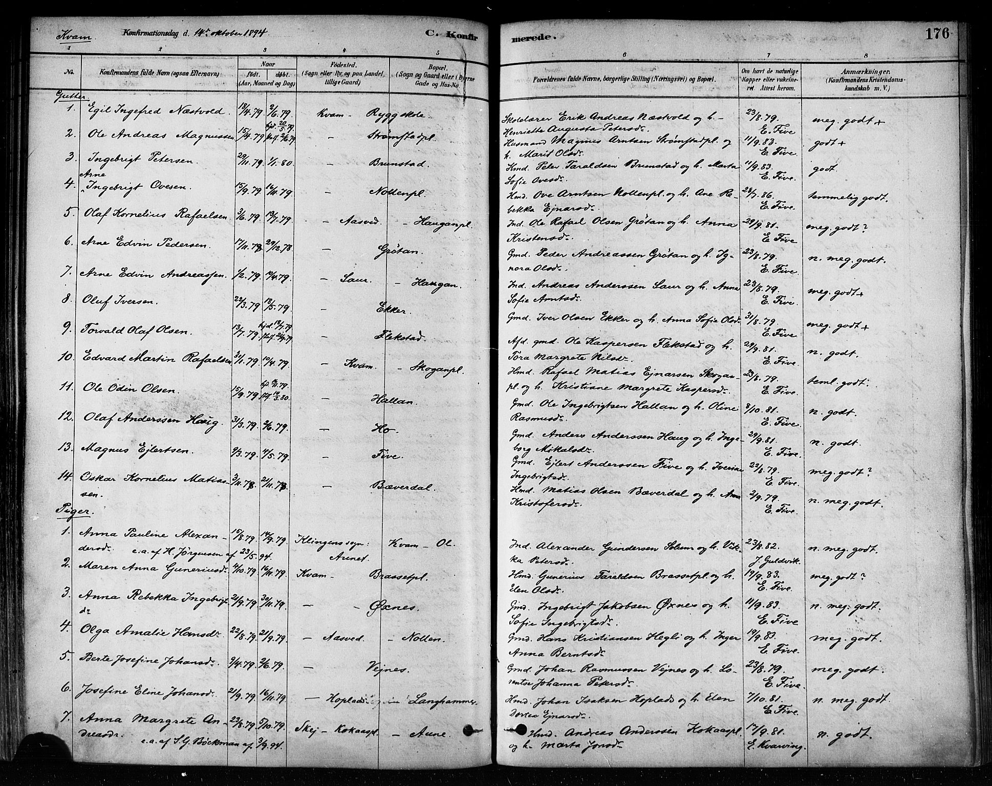 Ministerialprotokoller, klokkerbøker og fødselsregistre - Nord-Trøndelag, AV/SAT-A-1458/746/L0449: Parish register (official) no. 746A07 /2, 1878-1899, p. 176