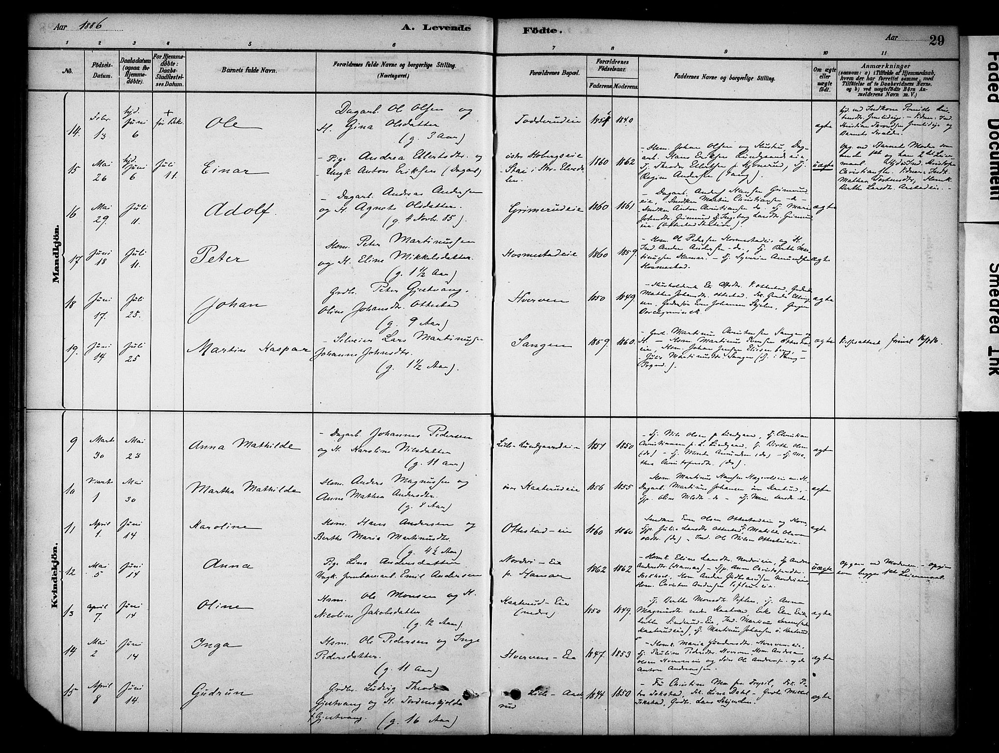 Stange prestekontor, AV/SAH-PREST-002/K/L0019: Parish register (official) no. 19, 1880-1891, p. 29