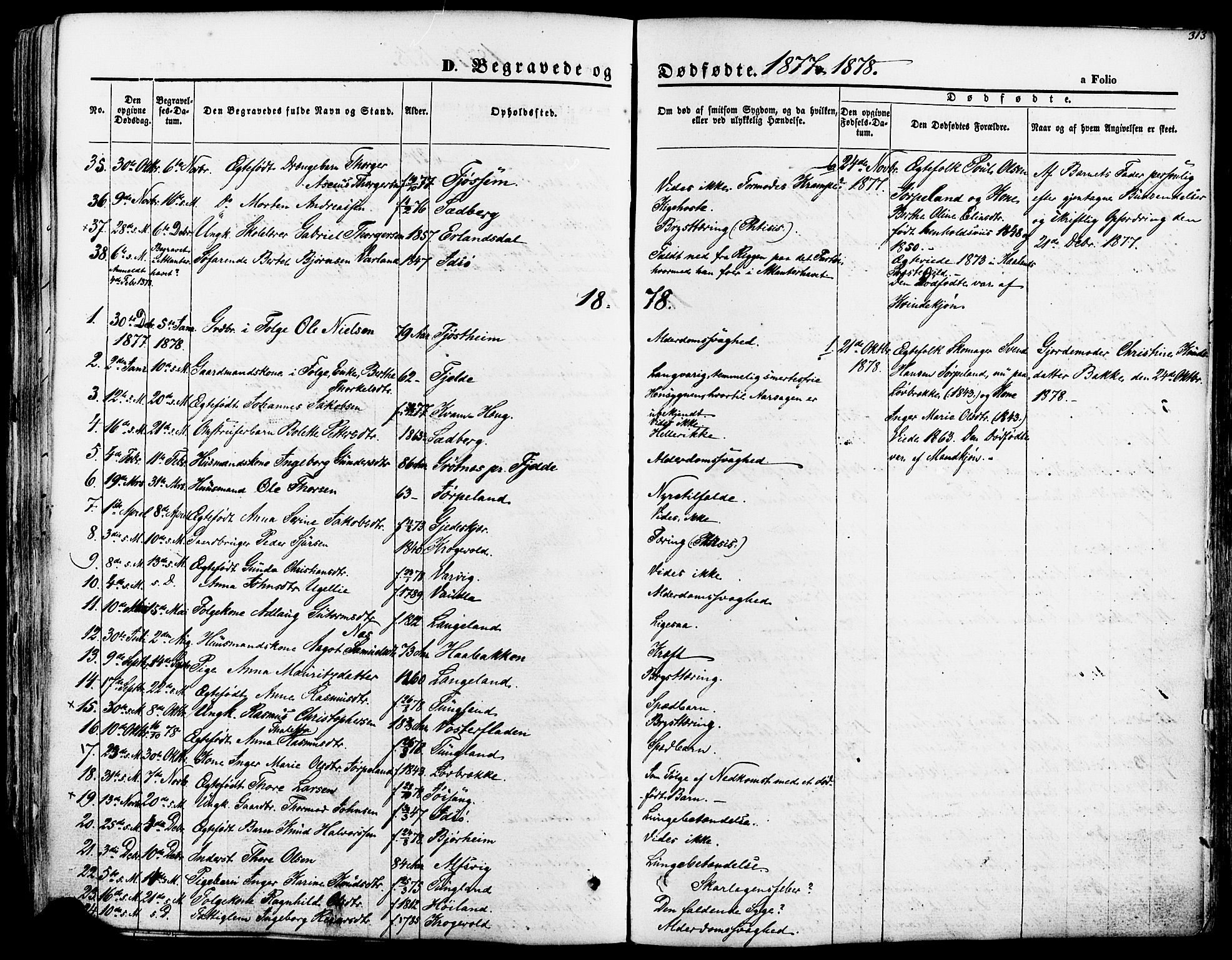 Strand sokneprestkontor, SAST/A-101828/H/Ha/Haa/L0007: Parish register (official) no. A 7, 1855-1881, p. 313