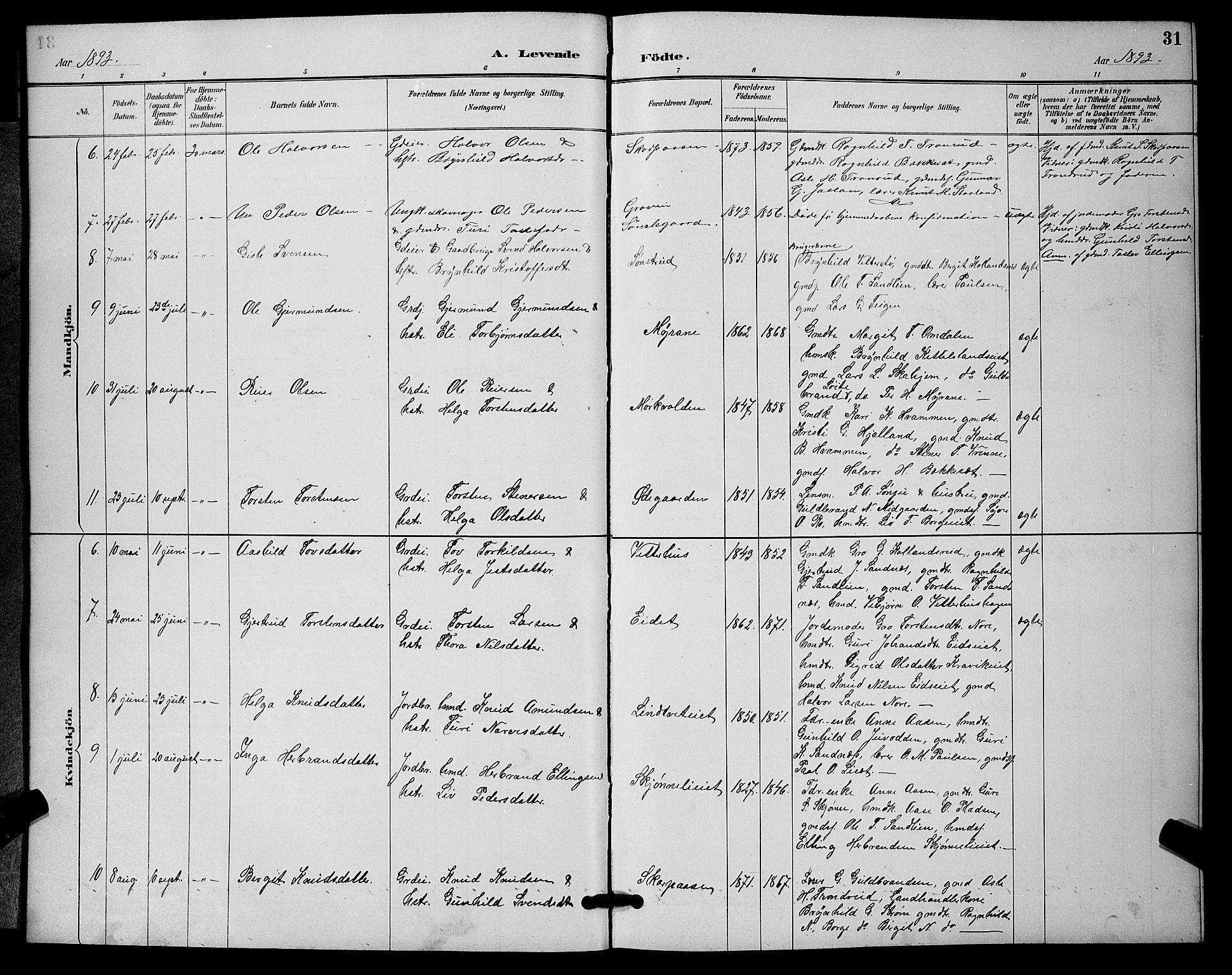 Nore kirkebøker, AV/SAKO-A-238/G/Ga/L0003: Parish register (copy) no. I 3, 1886-1903, p. 31