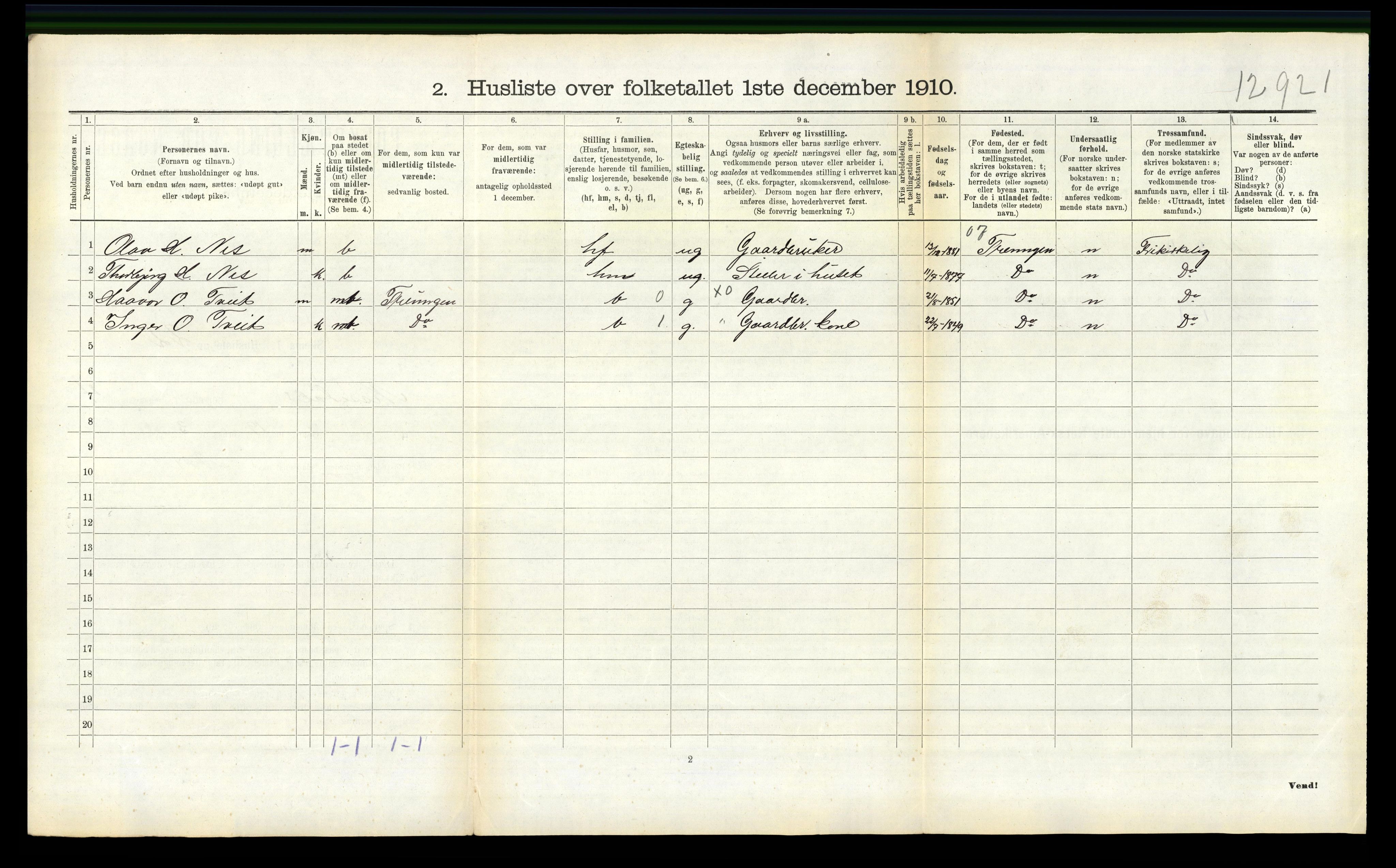 RA, 1910 census for Nissedal, 1910, p. 337