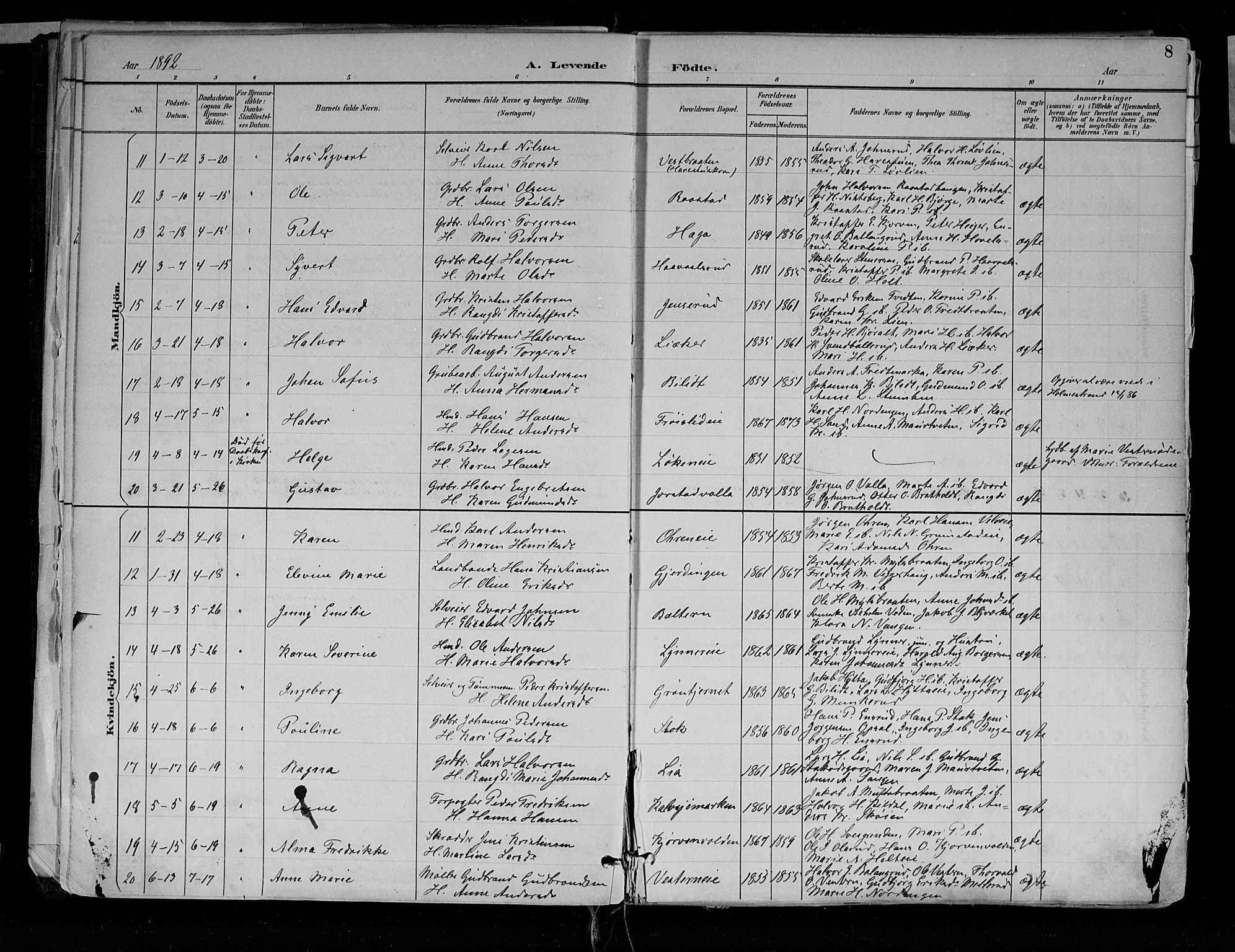 Jevnaker prestekontor, SAH/PREST-116/H/Ha/Haa/L0010: Parish register (official) no. 10, 1891-1906, p. 8