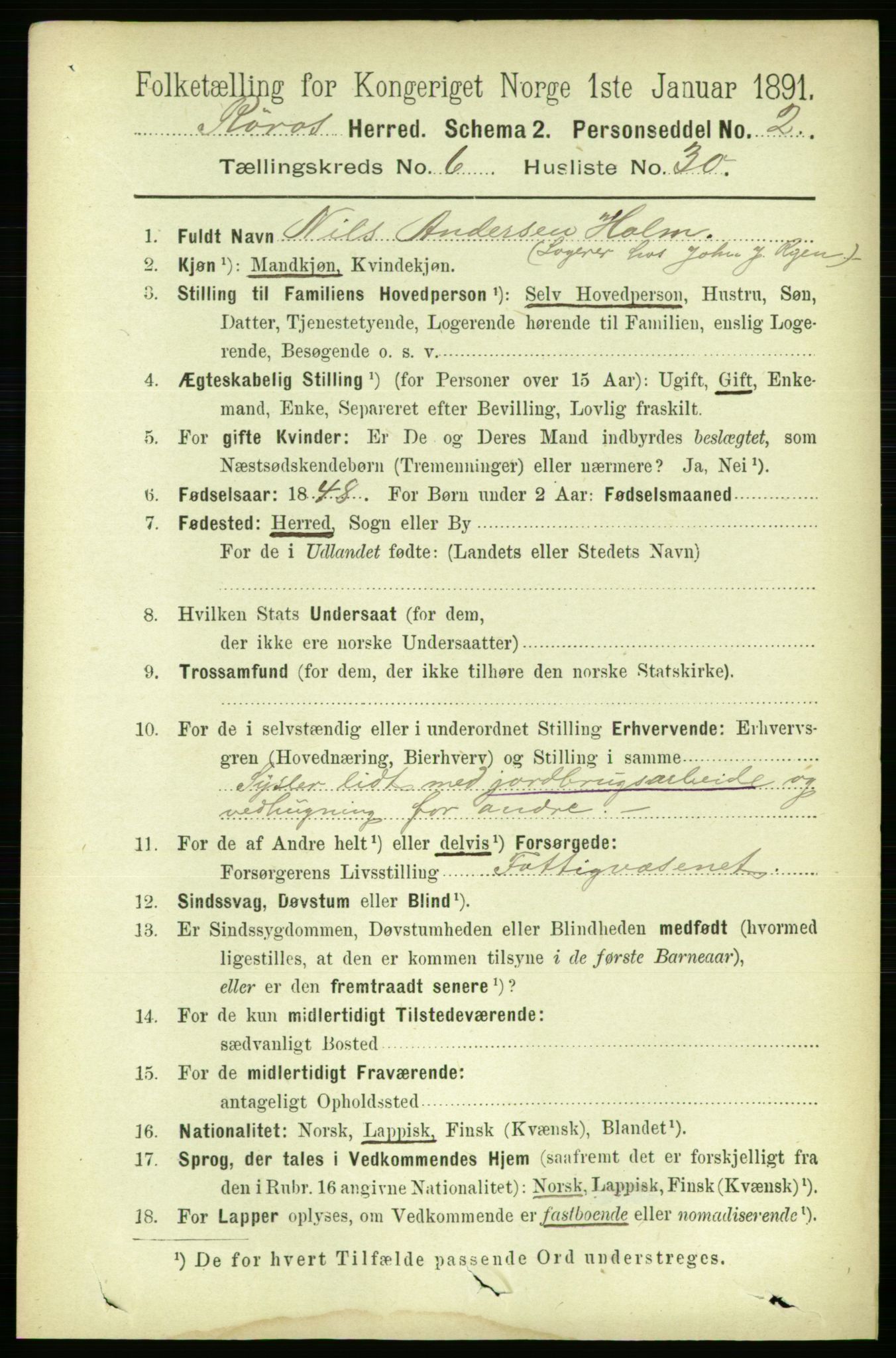 RA, 1891 census for 1640 Røros, 1891, p. 1335