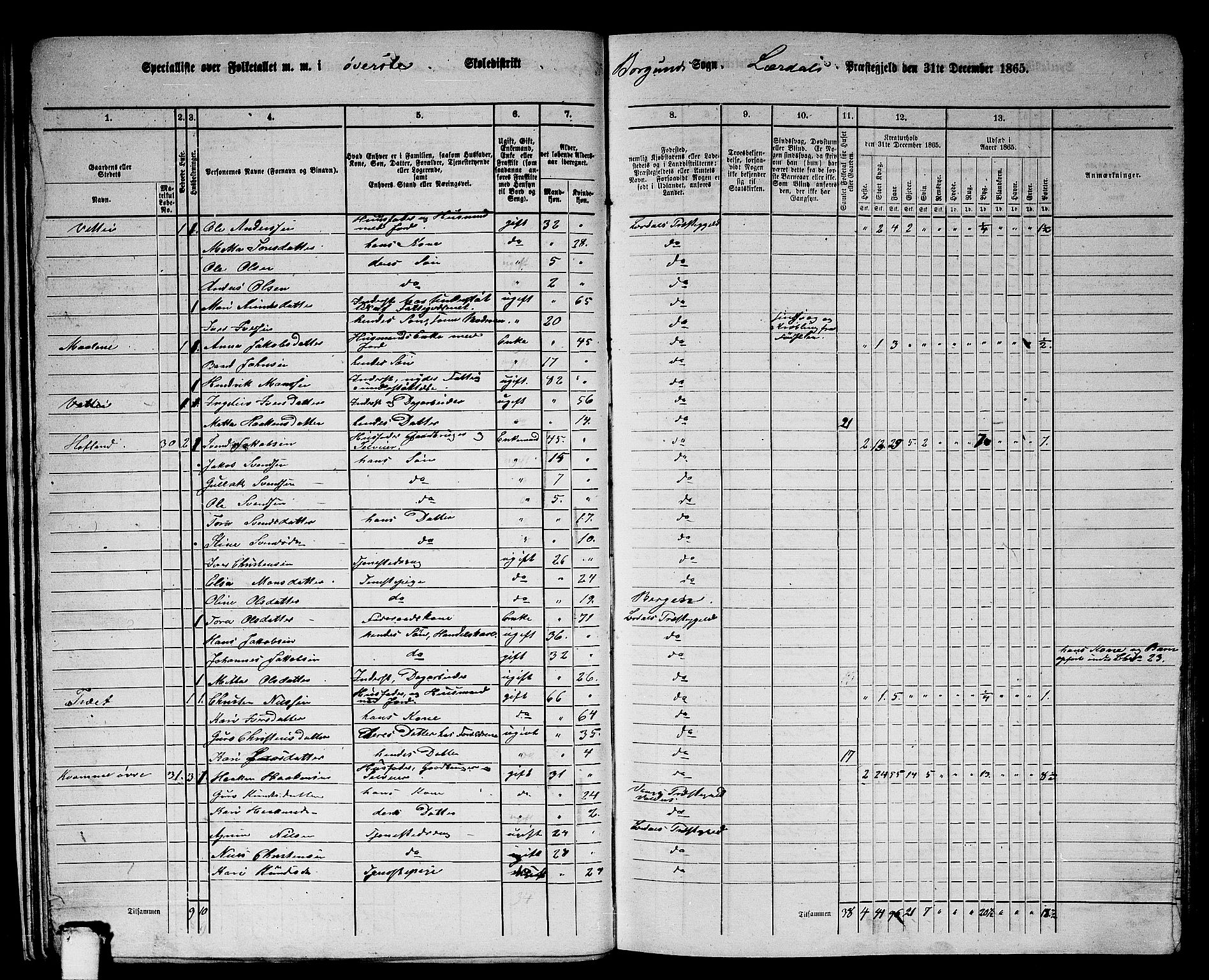 RA, 1865 census for Lærdal, 1865, p. 16