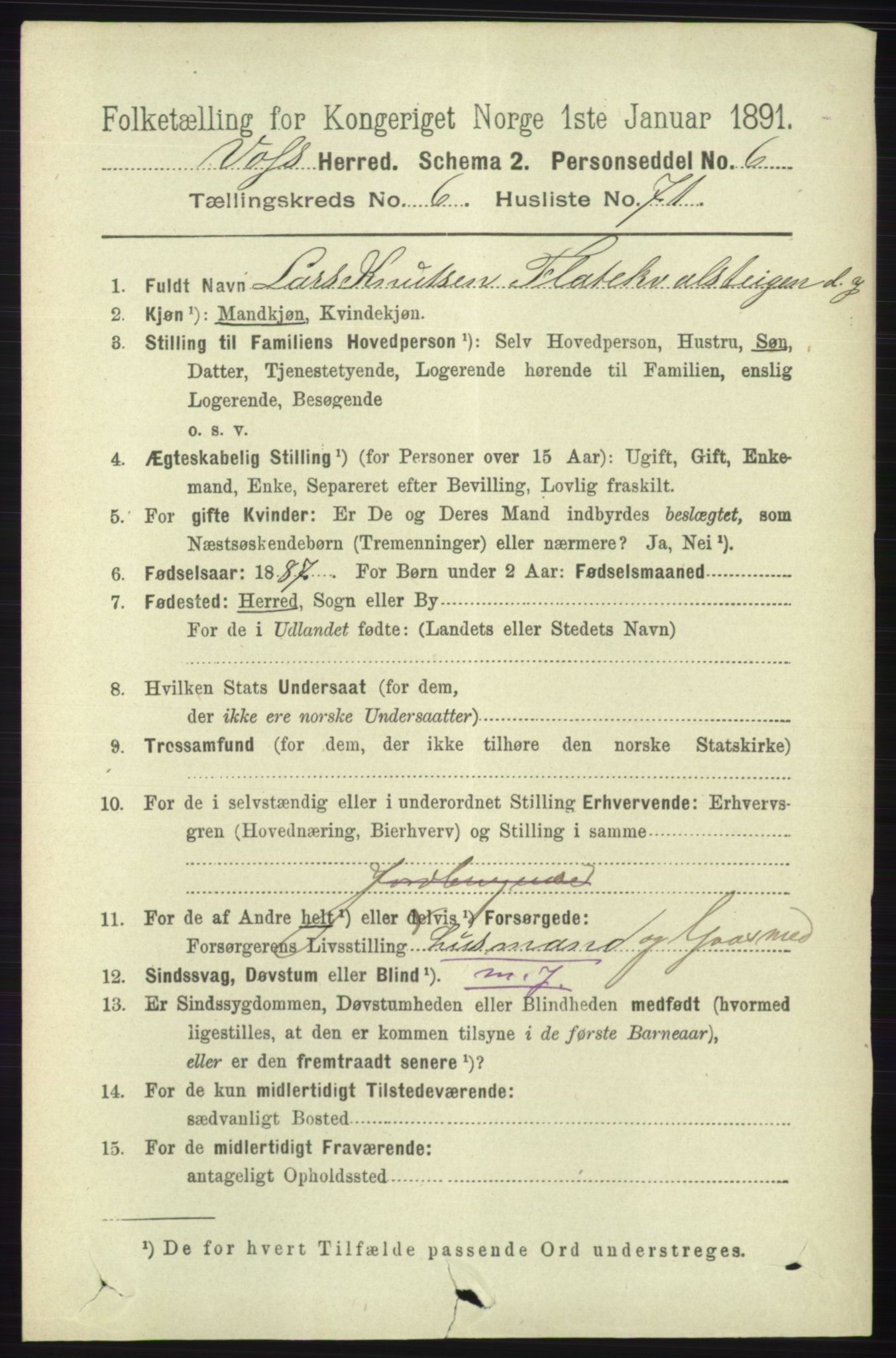 RA, 1891 census for 1235 Voss, 1891, p. 3728