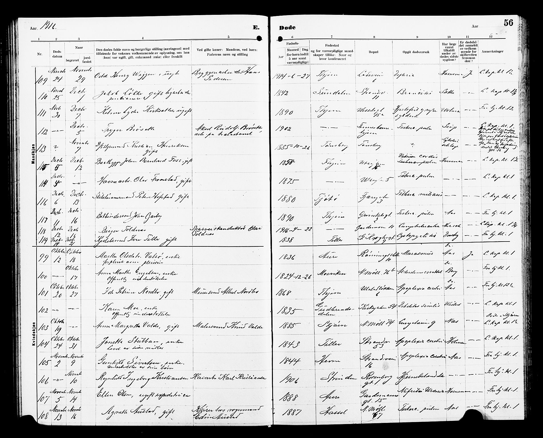 Ministerialprotokoller, klokkerbøker og fødselsregistre - Sør-Trøndelag, SAT/A-1456/605/L0257: Parish register (copy) no. 605C04, 1916-1922, p. 56