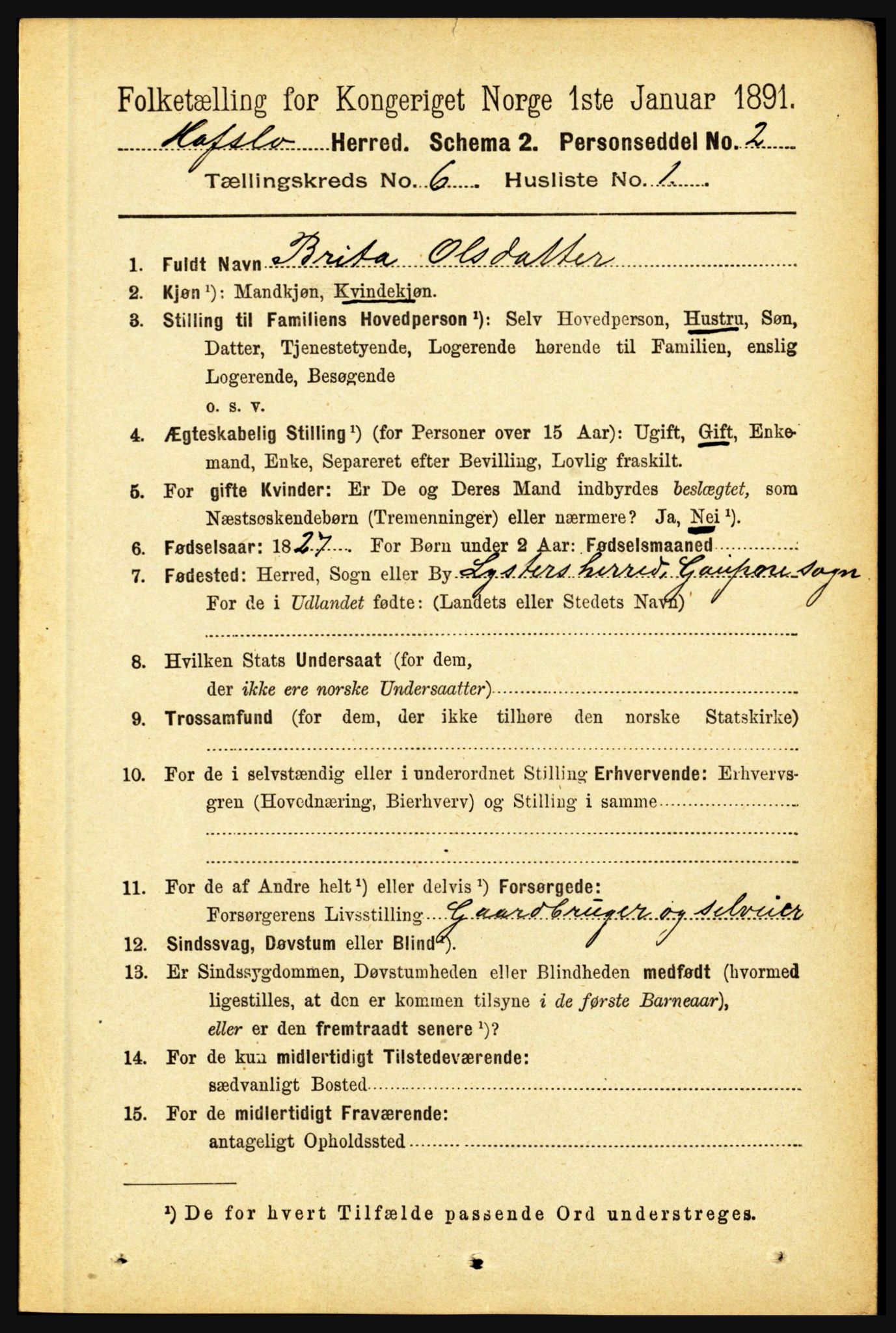 RA, 1891 census for 1425 Hafslo, 1891, p. 2337