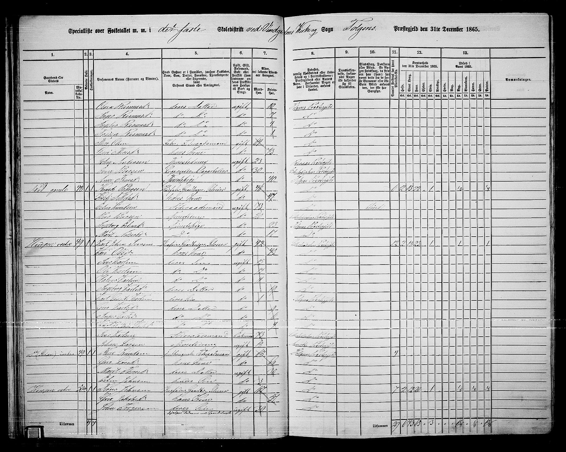 RA, 1865 census for Tolga, 1865, p. 31