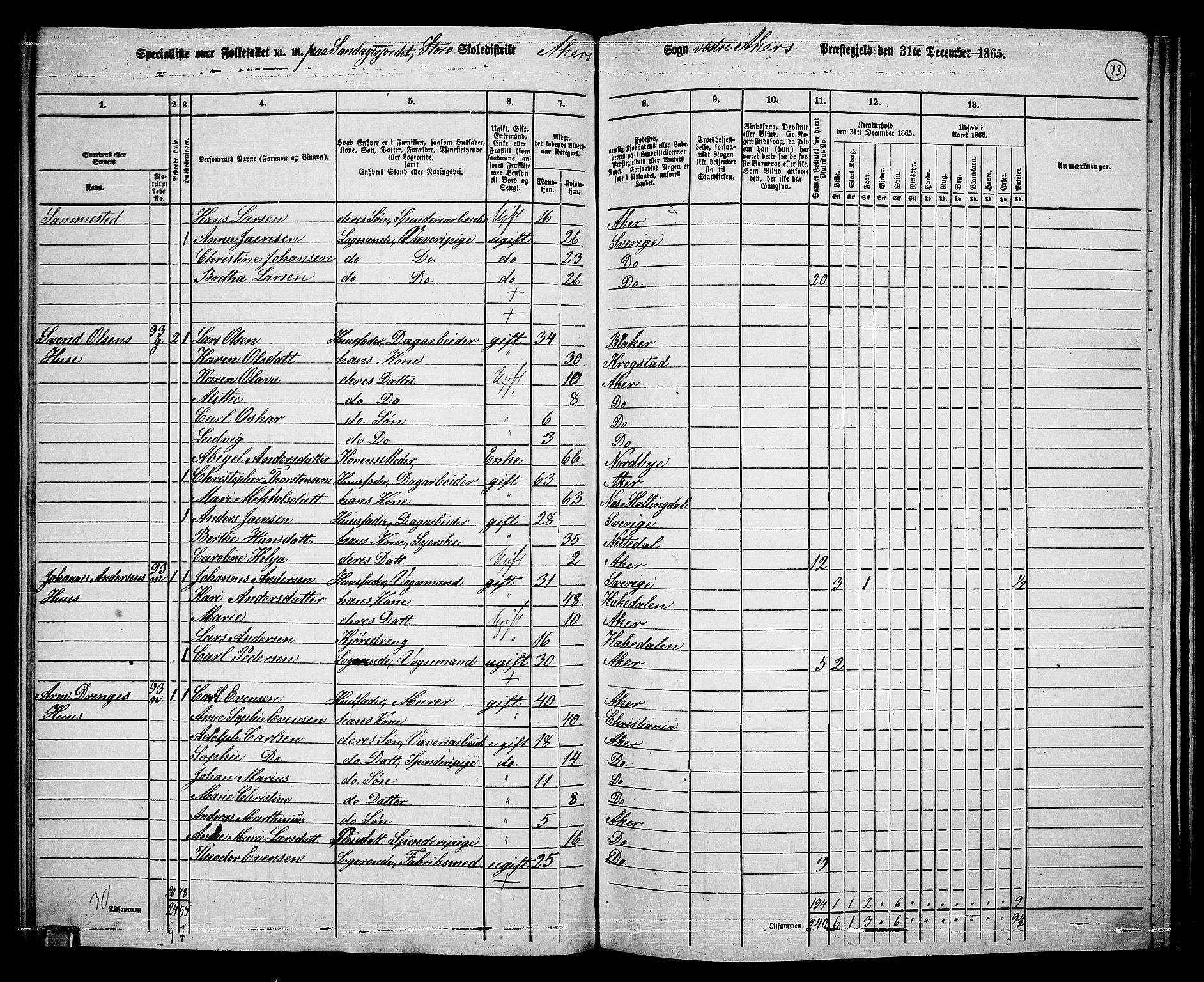 RA, 1865 census for Vestre Aker, 1865, p. 241