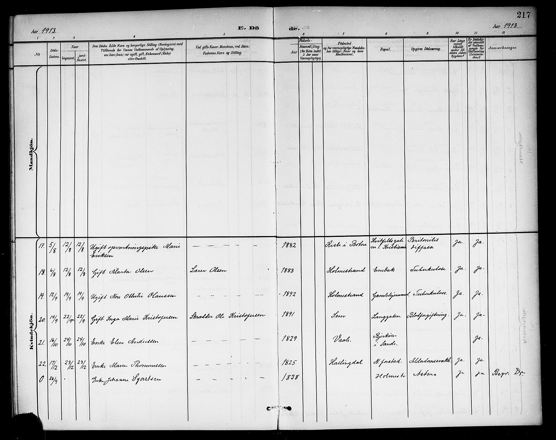 Holmestrand kirkebøker, AV/SAKO-A-346/G/Ga/L0006: Parish register (copy) no. 6, 1901-1923, p. 217