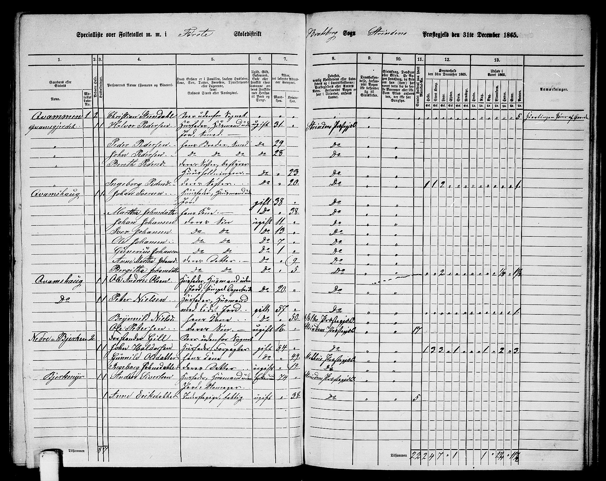 RA, 1865 census for Strinda, 1865, p. 161