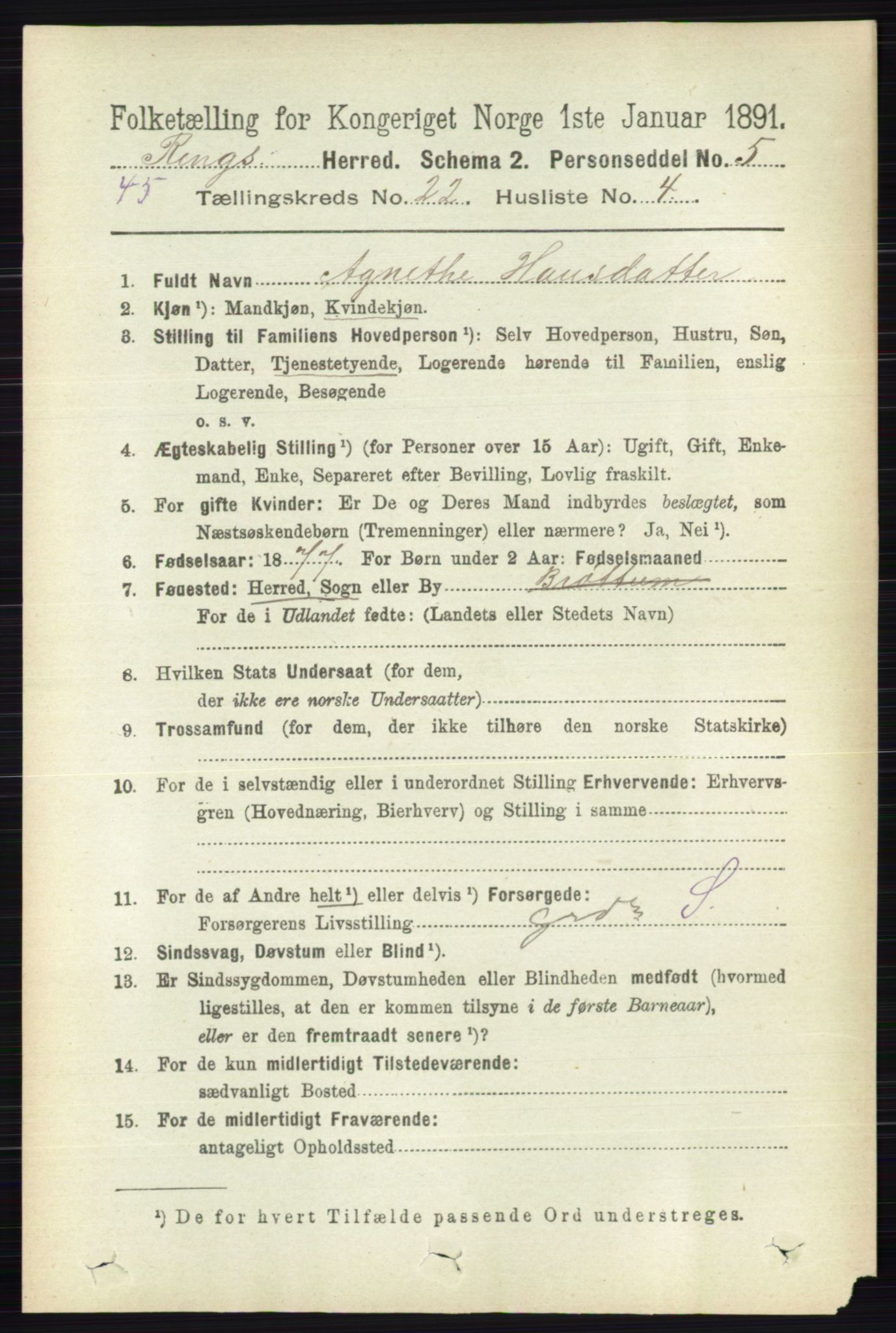 RA, 1891 census for 0412 Ringsaker, 1891, p. 12395