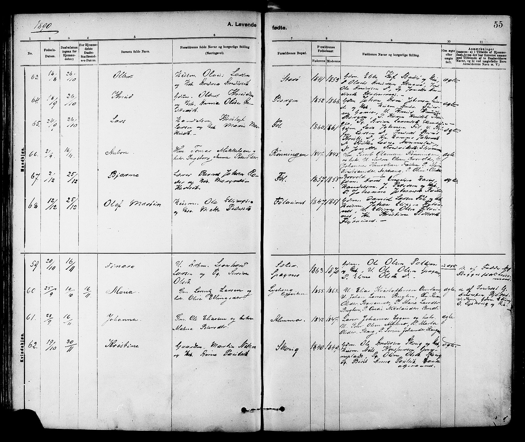 Ministerialprotokoller, klokkerbøker og fødselsregistre - Sør-Trøndelag, SAT/A-1456/647/L0634: Parish register (official) no. 647A01, 1885-1896, p. 55
