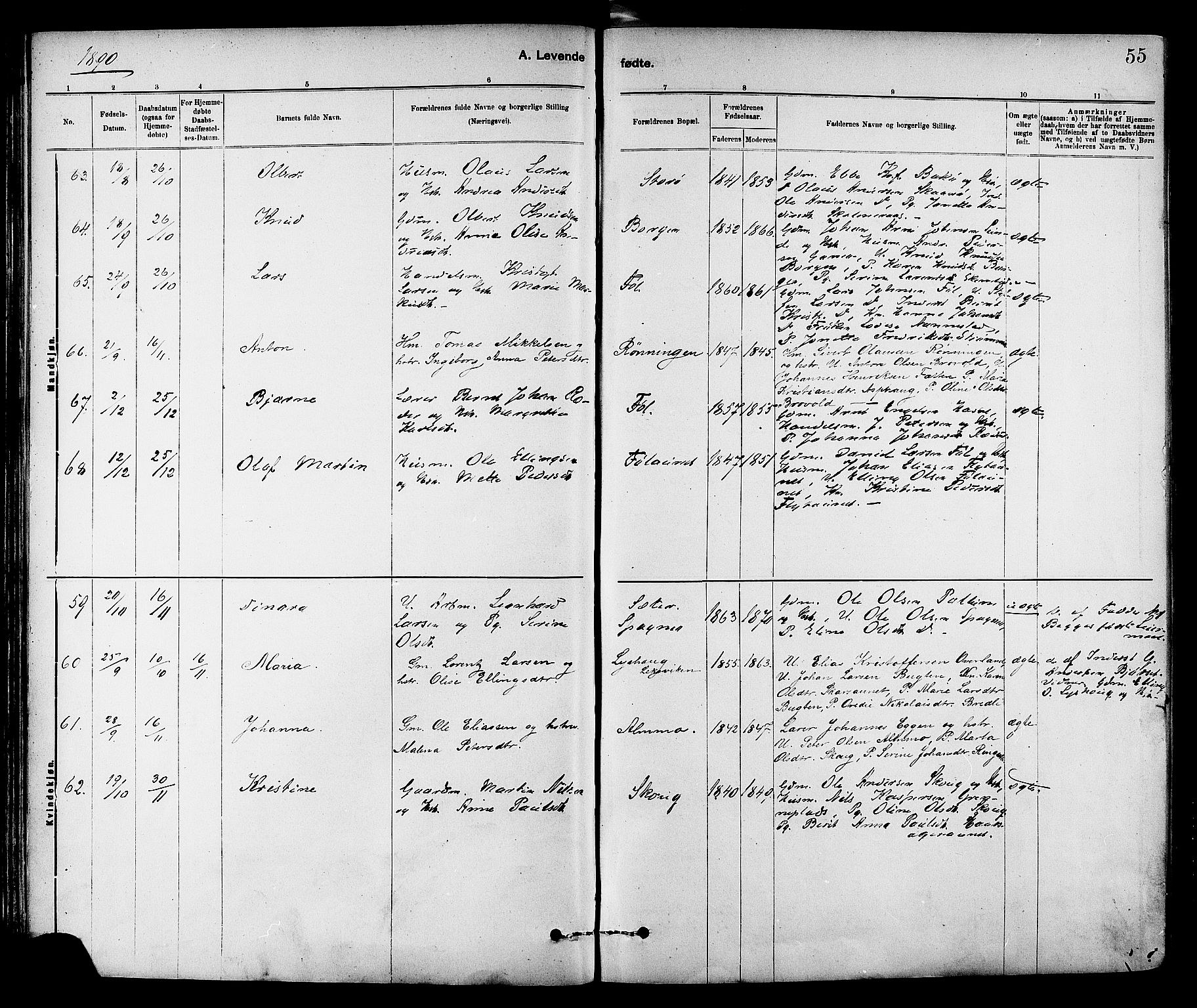 Ministerialprotokoller, klokkerbøker og fødselsregistre - Sør-Trøndelag, AV/SAT-A-1456/647/L0634: Parish register (official) no. 647A01, 1885-1896, p. 55