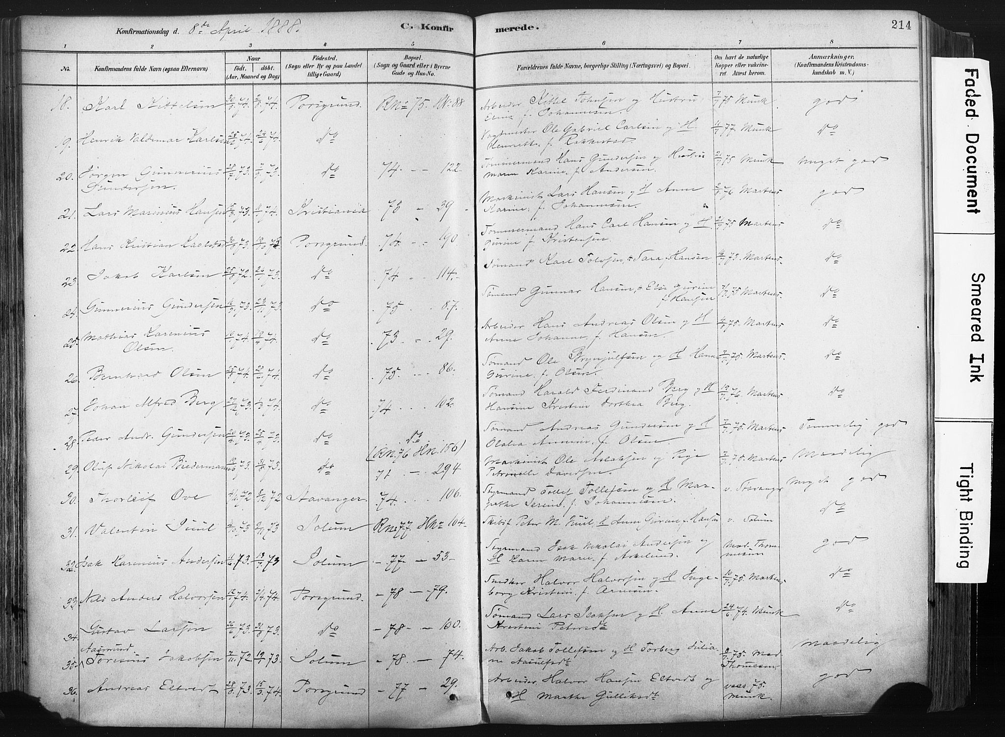 Porsgrunn kirkebøker , SAKO/A-104/F/Fa/L0008: Parish register (official) no. 8, 1878-1895, p. 214