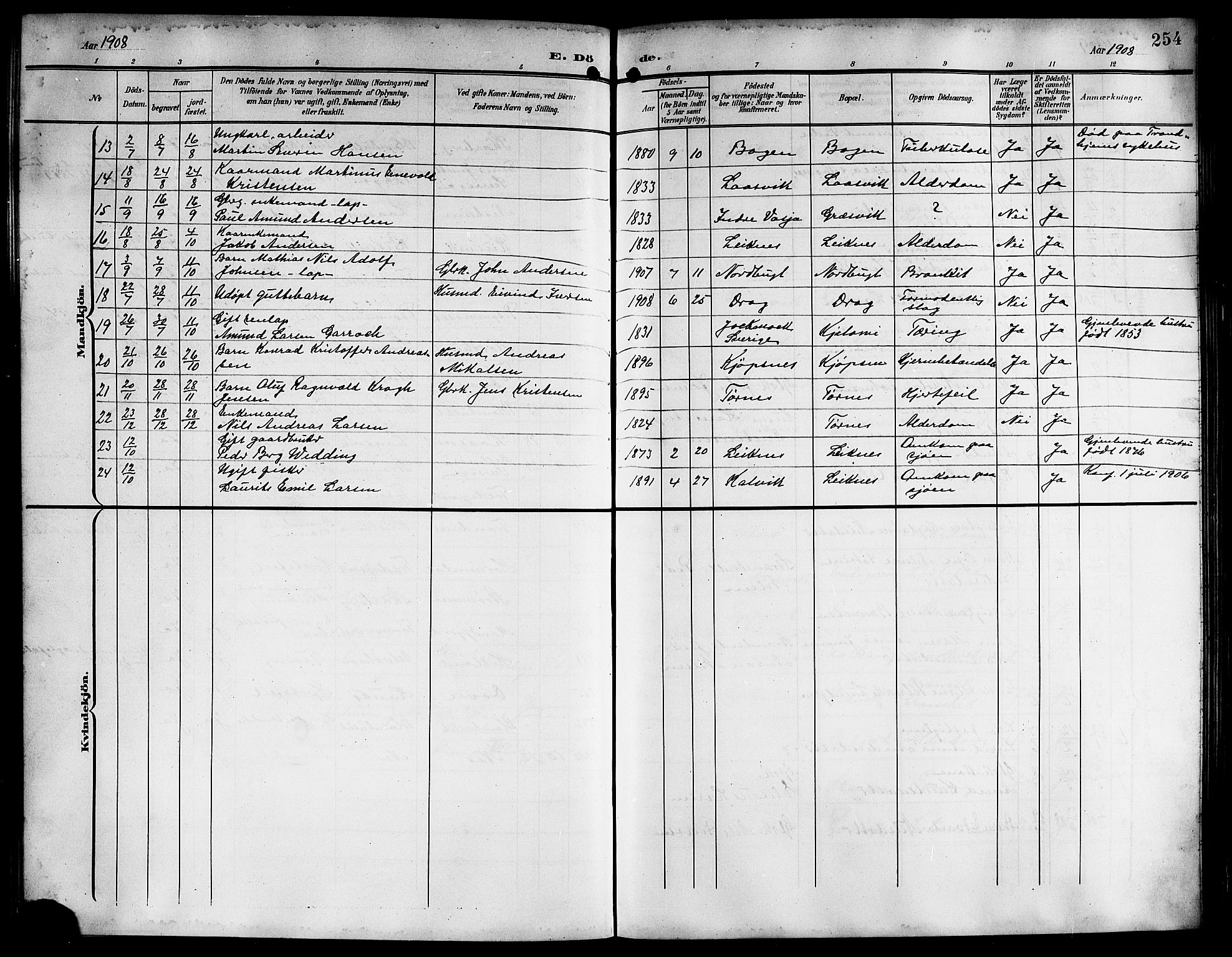 Ministerialprotokoller, klokkerbøker og fødselsregistre - Nordland, AV/SAT-A-1459/861/L0877: Parish register (copy) no. 861C03, 1903-1919, p. 254