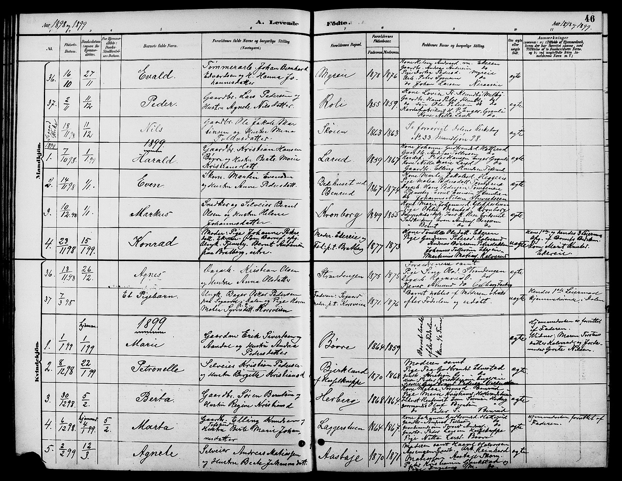 Biri prestekontor, SAH/PREST-096/H/Ha/Hab/L0004: Parish register (copy) no. 4, 1892-1909, p. 46