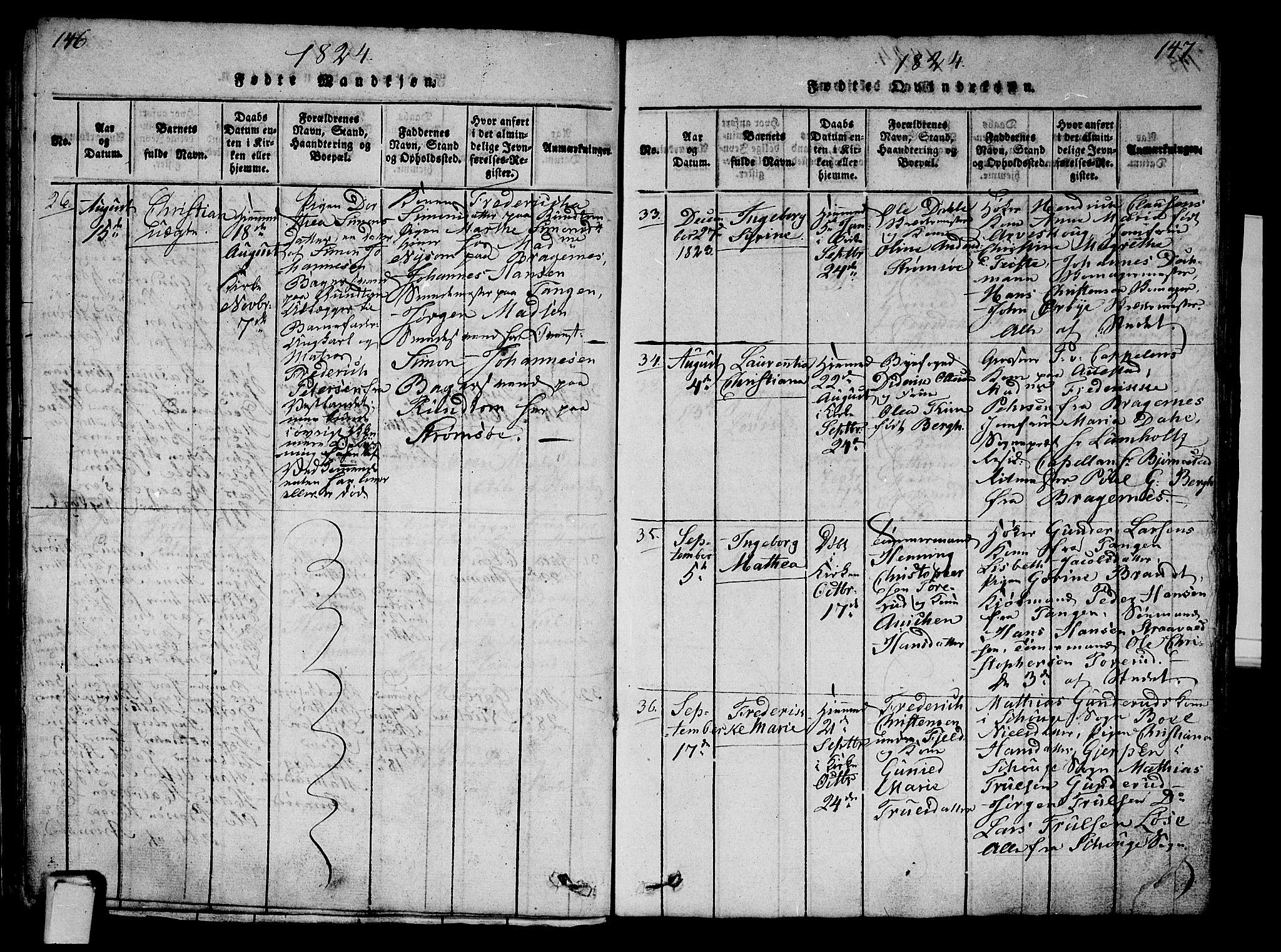 Strømsø kirkebøker, AV/SAKO-A-246/G/Ga/L0001: Parish register (copy) no. 1, 1815-1829, p. 146-147