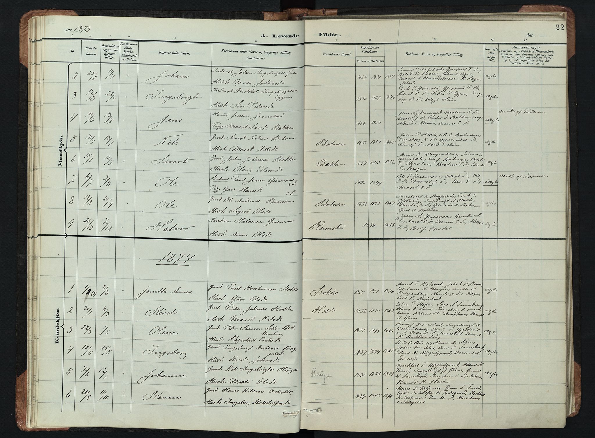 Kvikne prestekontor, SAH/PREST-064/H/Ha/Hab/L0002: Parish register (copy) no. 2, 1859-1901, p. 22