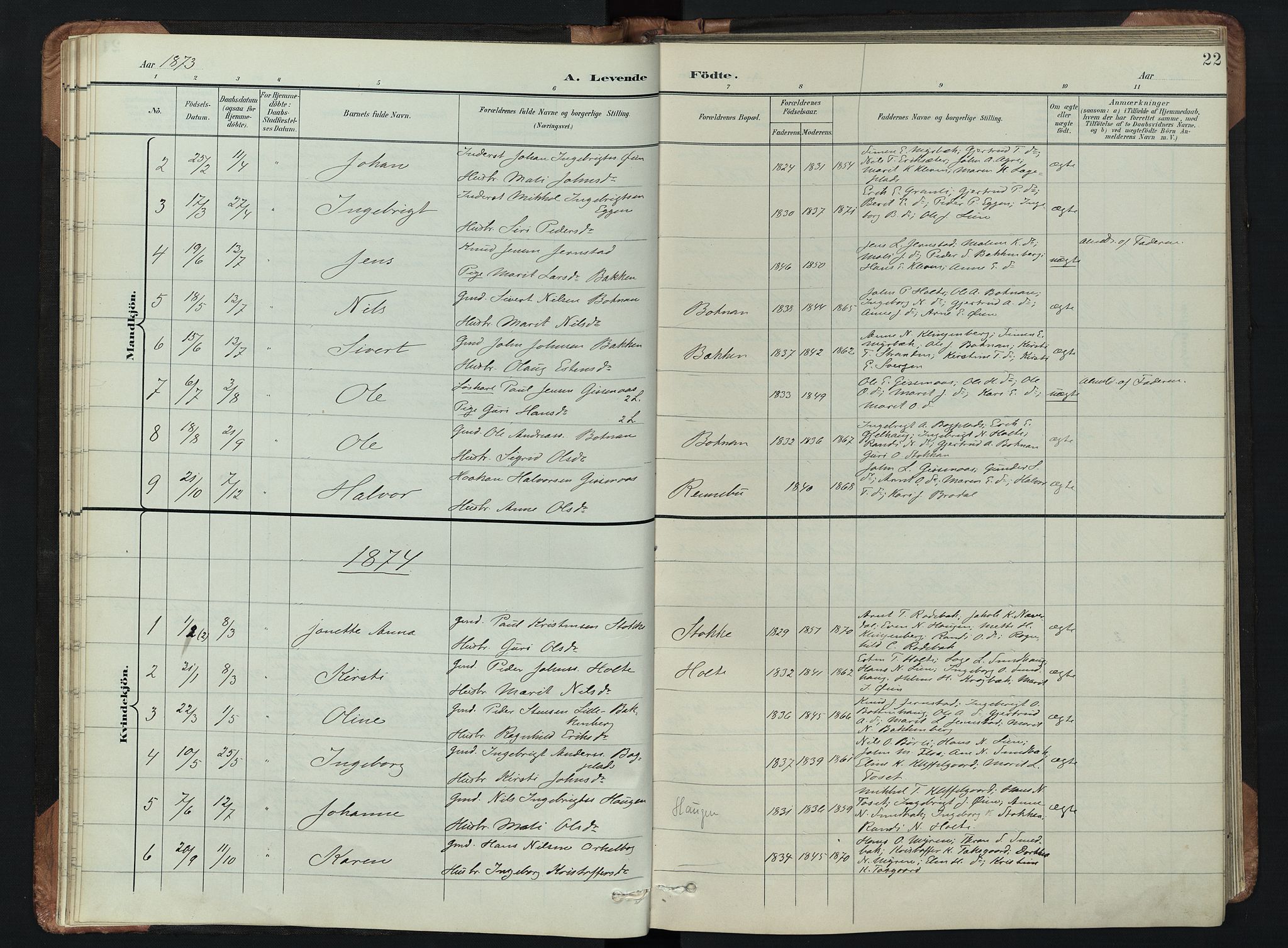 Kvikne prestekontor, AV/SAH-PREST-064/H/Ha/Hab/L0002: Parish register (copy) no. 2, 1859-1901, p. 22