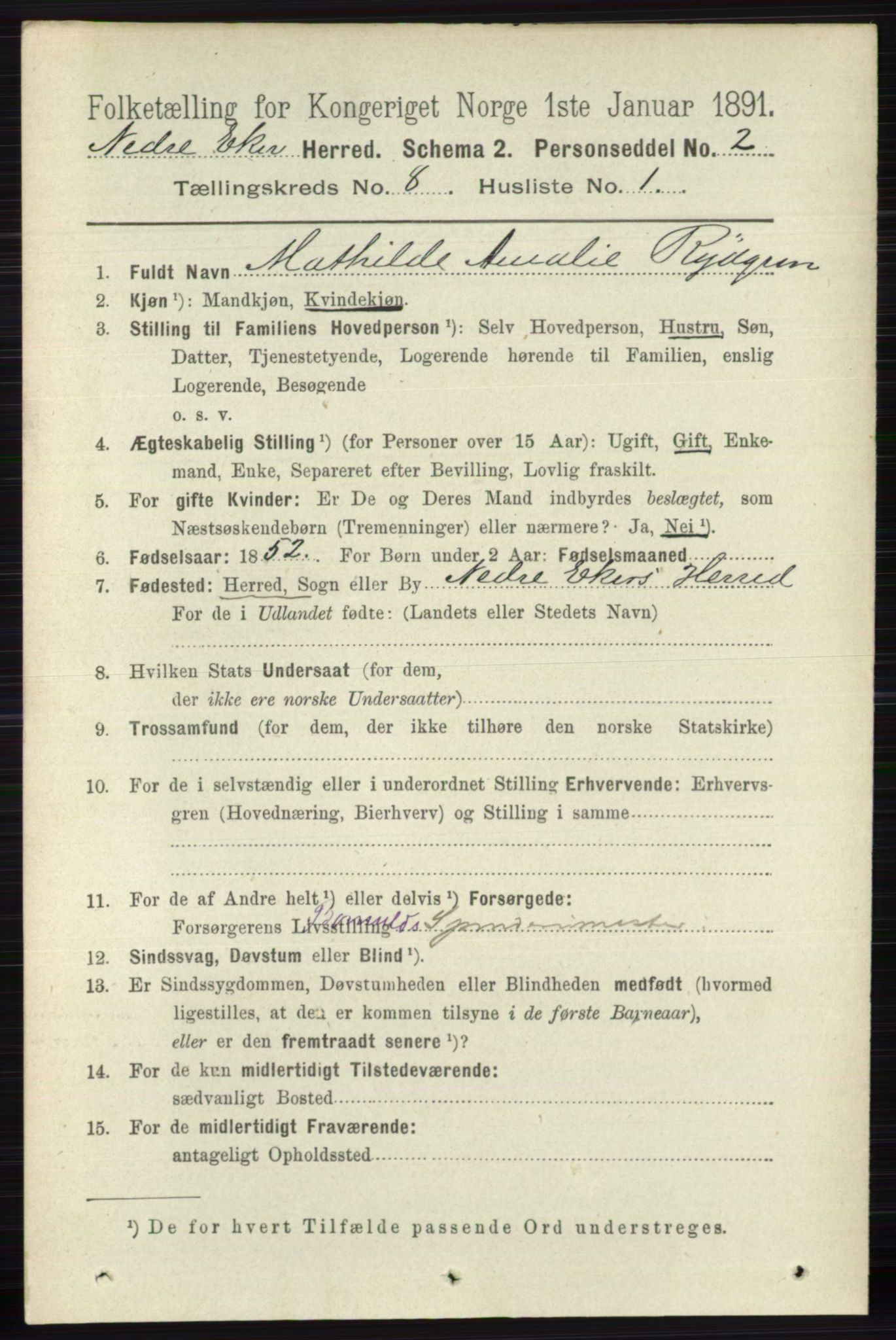 RA, 1891 census for 0625 Nedre Eiker, 1891, p. 3954