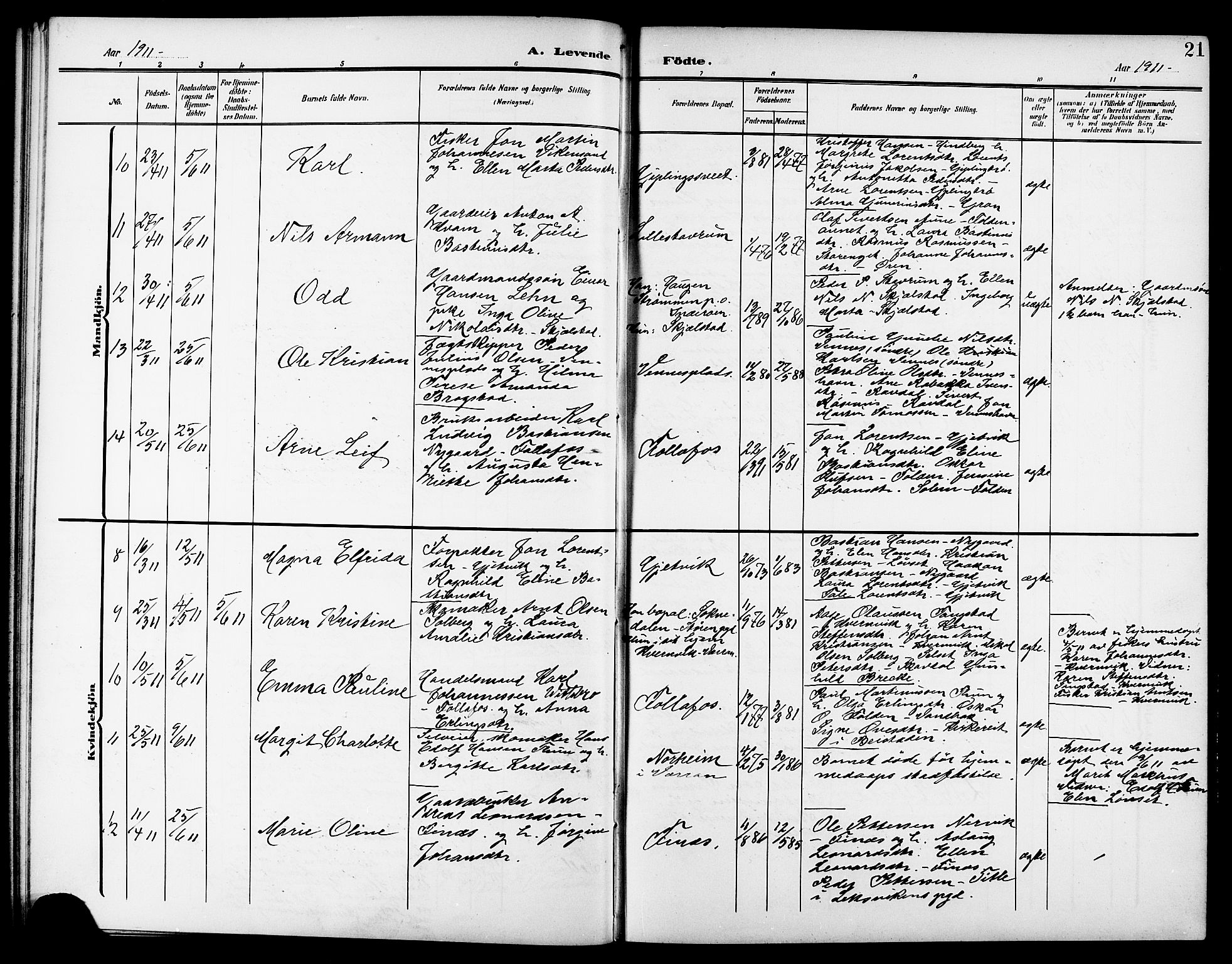 Ministerialprotokoller, klokkerbøker og fødselsregistre - Nord-Trøndelag, AV/SAT-A-1458/744/L0424: Parish register (copy) no. 744C03, 1906-1923, p. 21