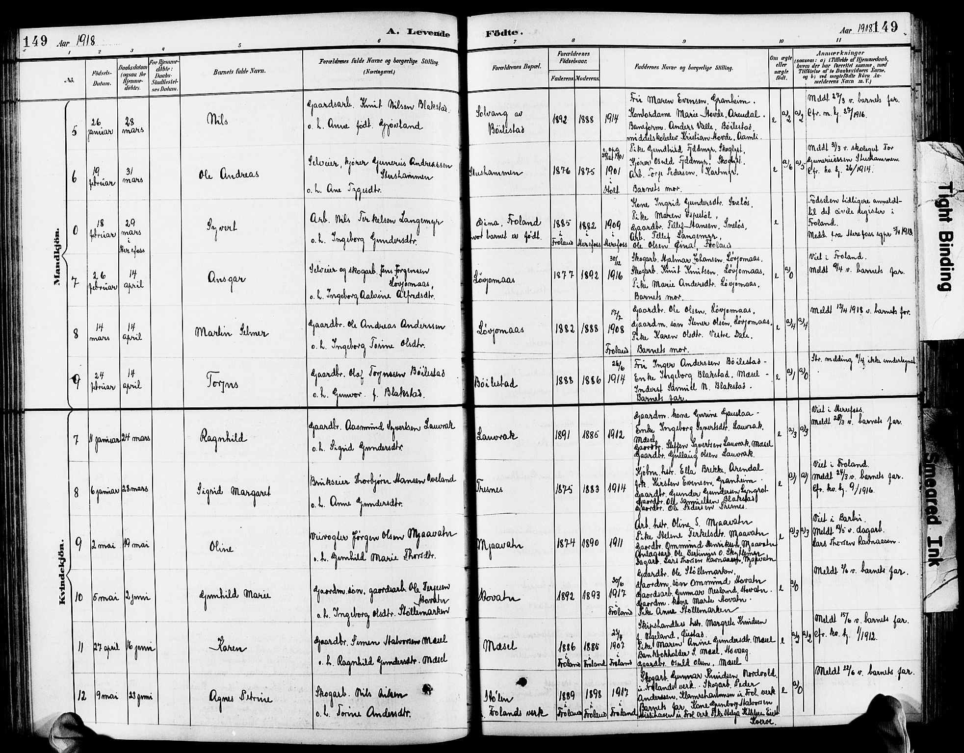 Froland sokneprestkontor, SAK/1111-0013/F/Fb/L0010: Parish register (copy) no. B 10, 1893-1920, p. 149