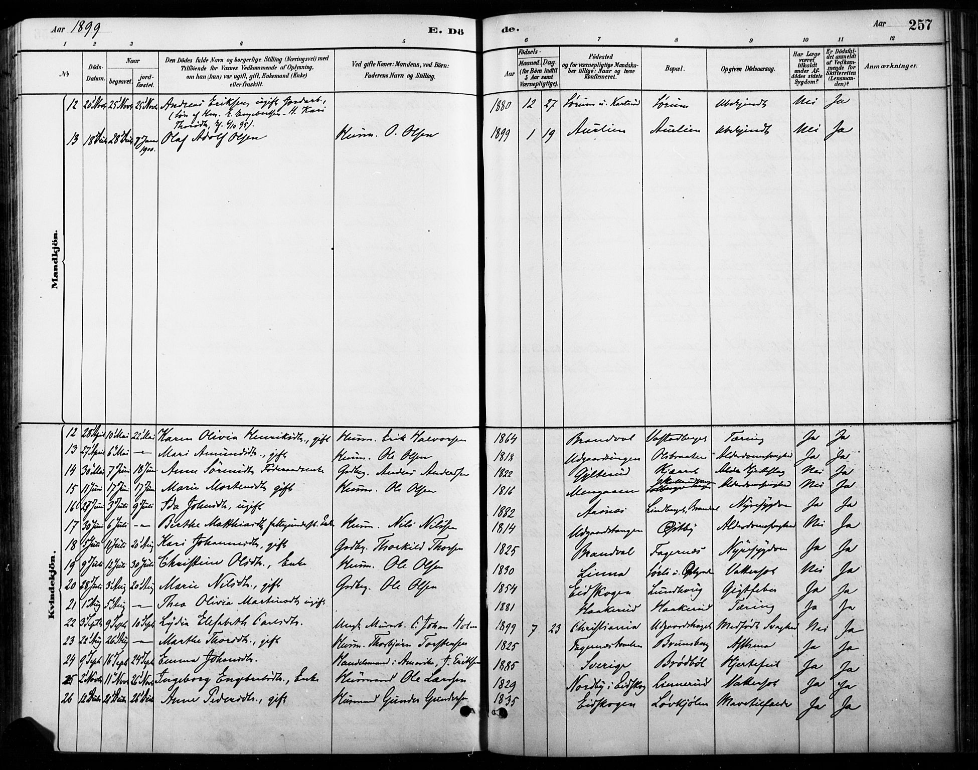 Vinger prestekontor, AV/SAH-PREST-024/H/Ha/Haa/L0015: Parish register (official) no. 15, 1881-1900, p. 257