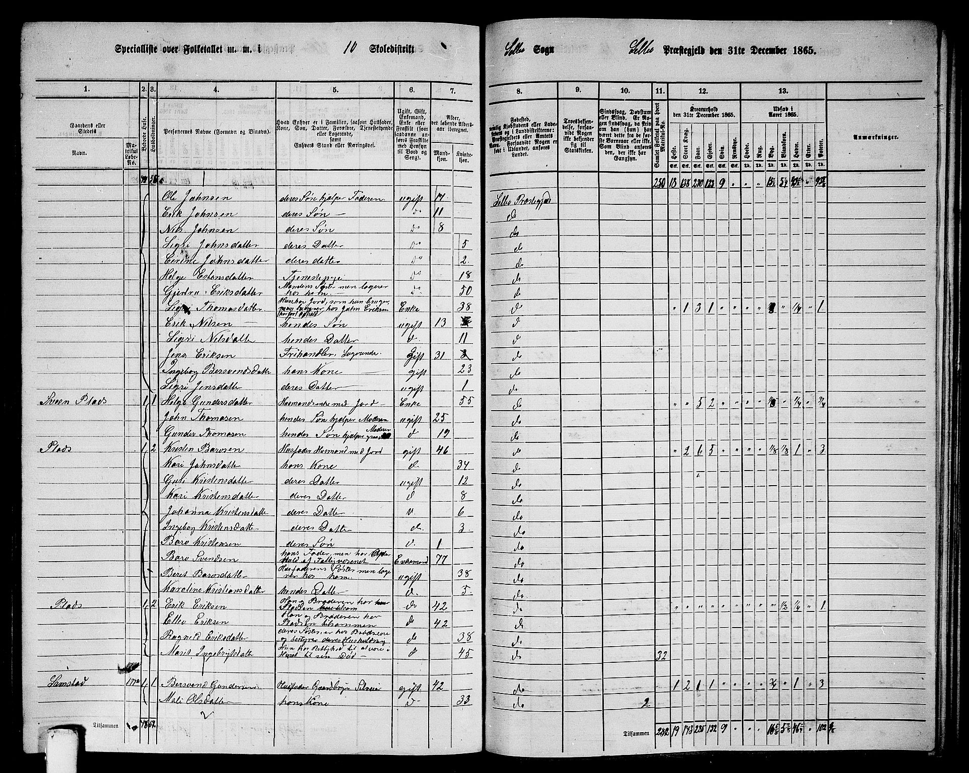 RA, 1865 census for Selbu, 1865, p. 187