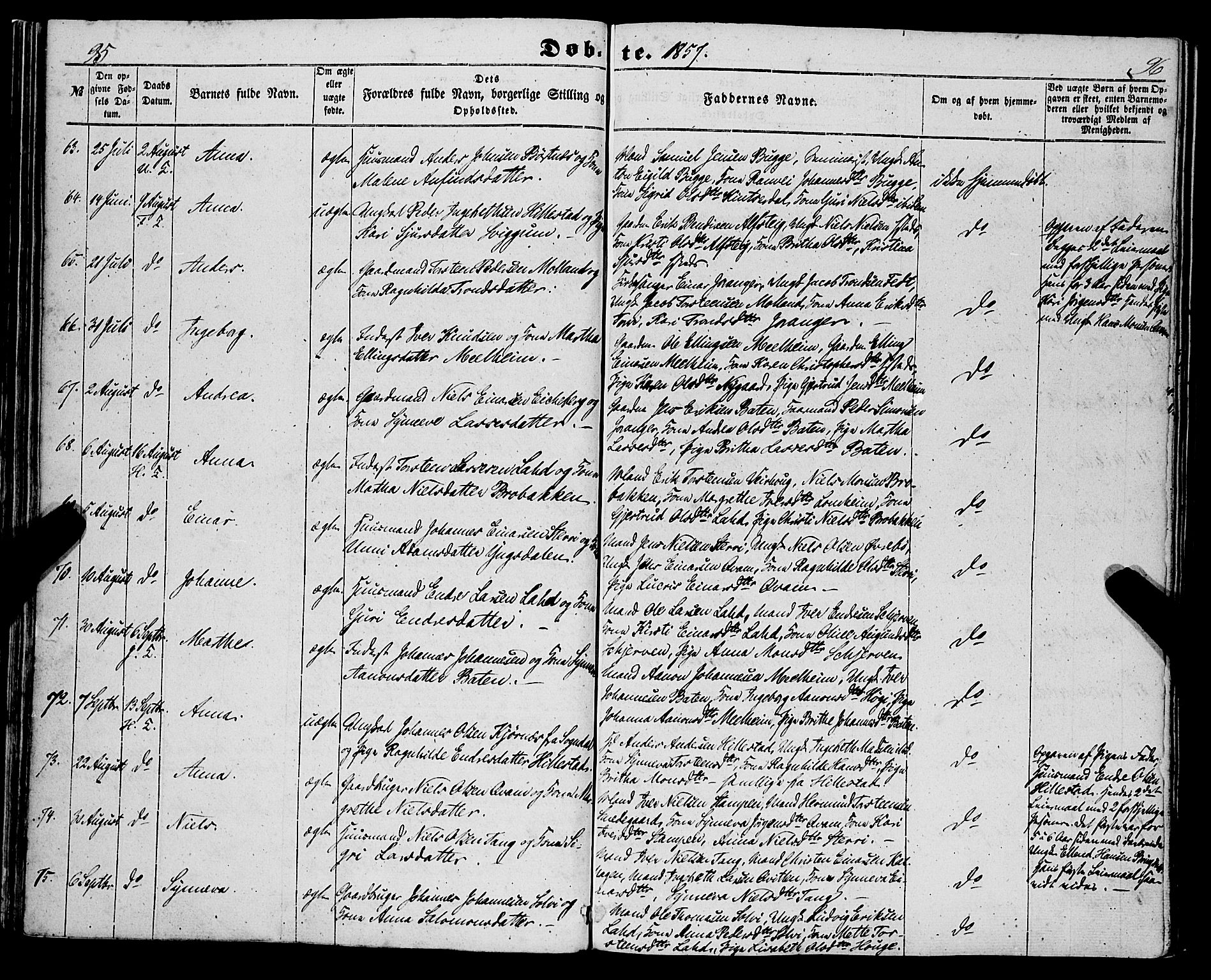 Hafslo sokneprestembete, SAB/A-80301/H/Haa/Haaa/L0009: Parish register (official) no. A 9, 1852-1873, p. 95-96