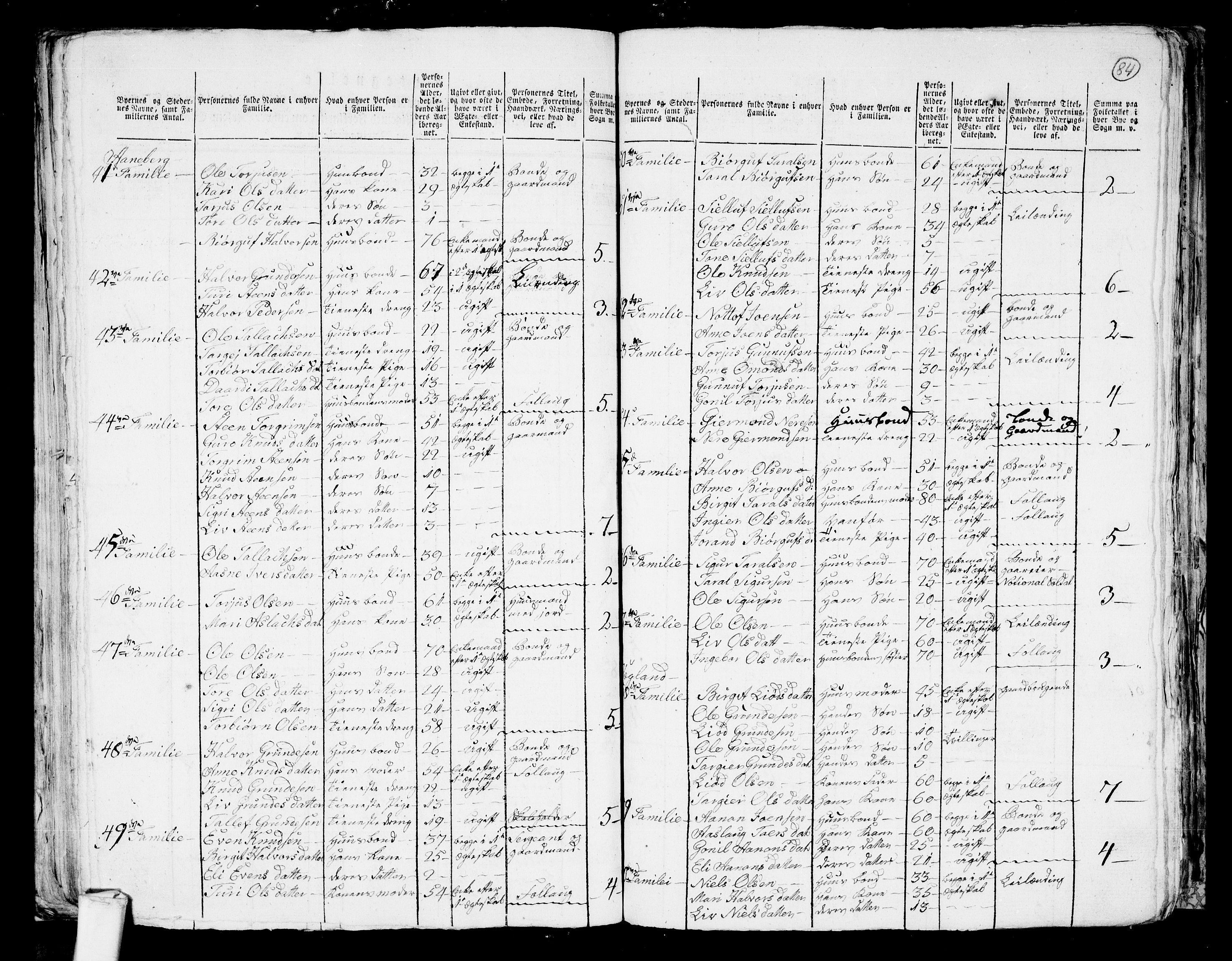 RA, 1801 census for 0938P Bygland, 1801, p. 83b-84a