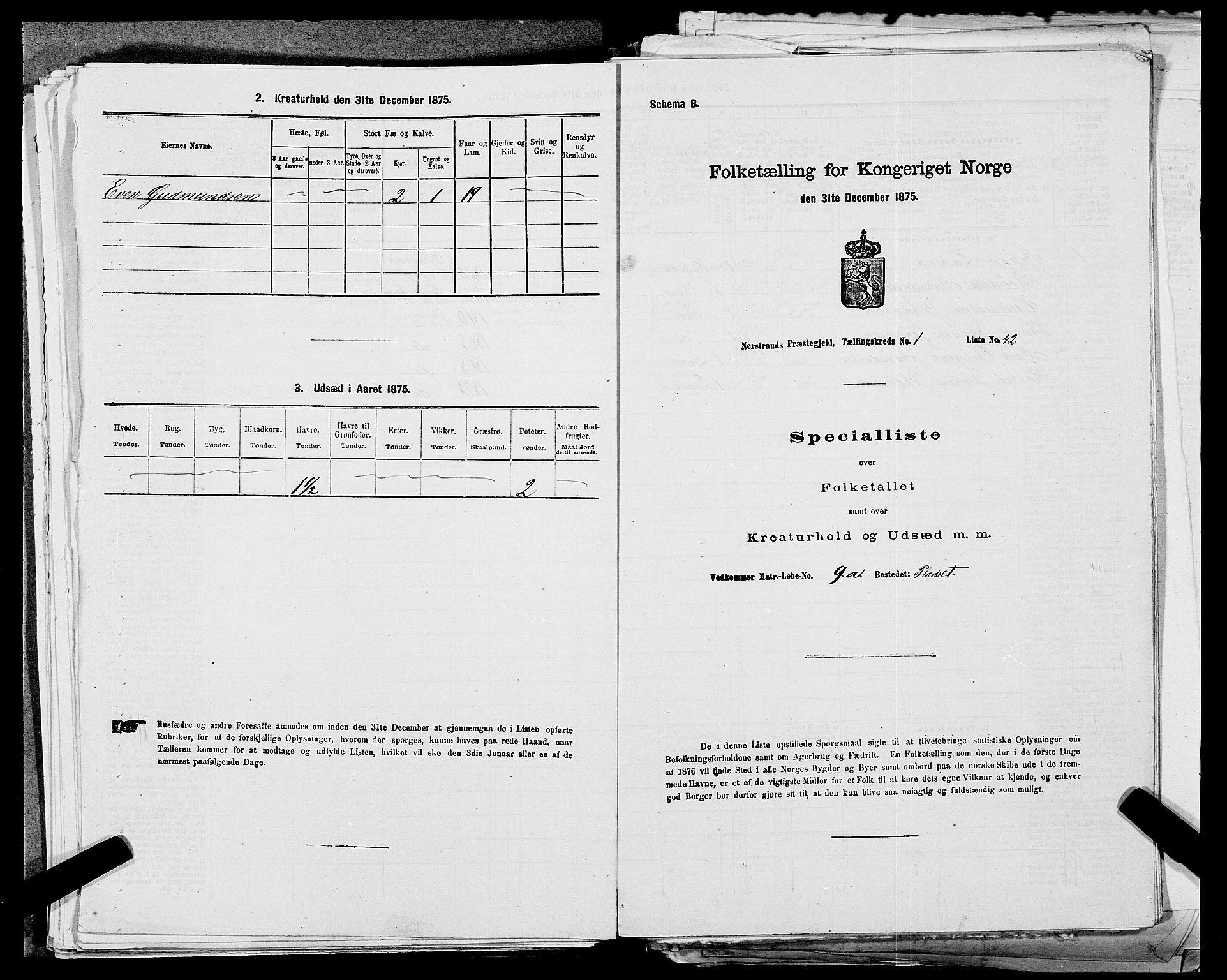 SAST, 1875 census for 1139P Nedstrand, 1875, p. 131