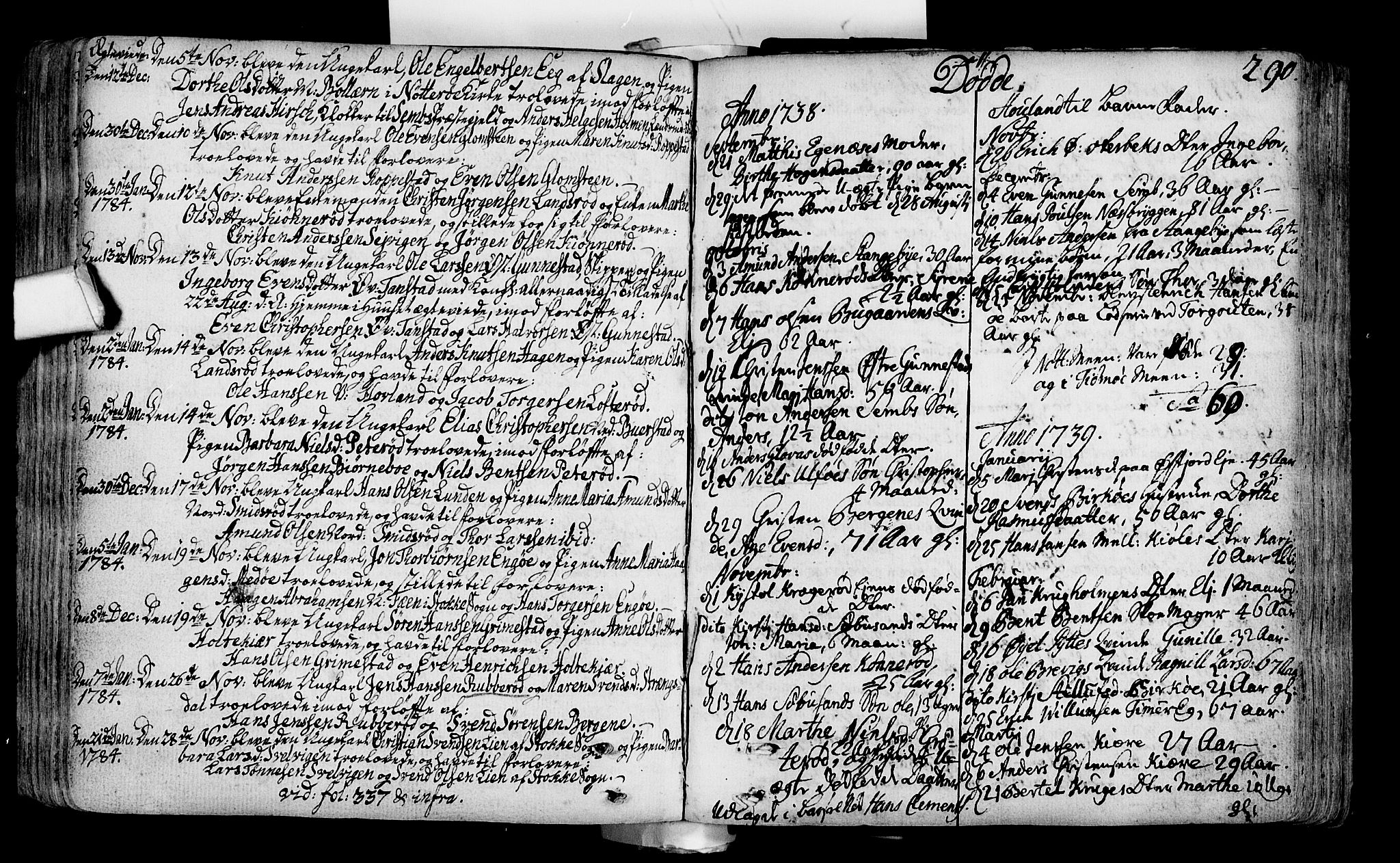 Nøtterøy kirkebøker, SAKO/A-354/F/Fa/L0002: Parish register (official) no. I 2, 1738-1790, p. 290