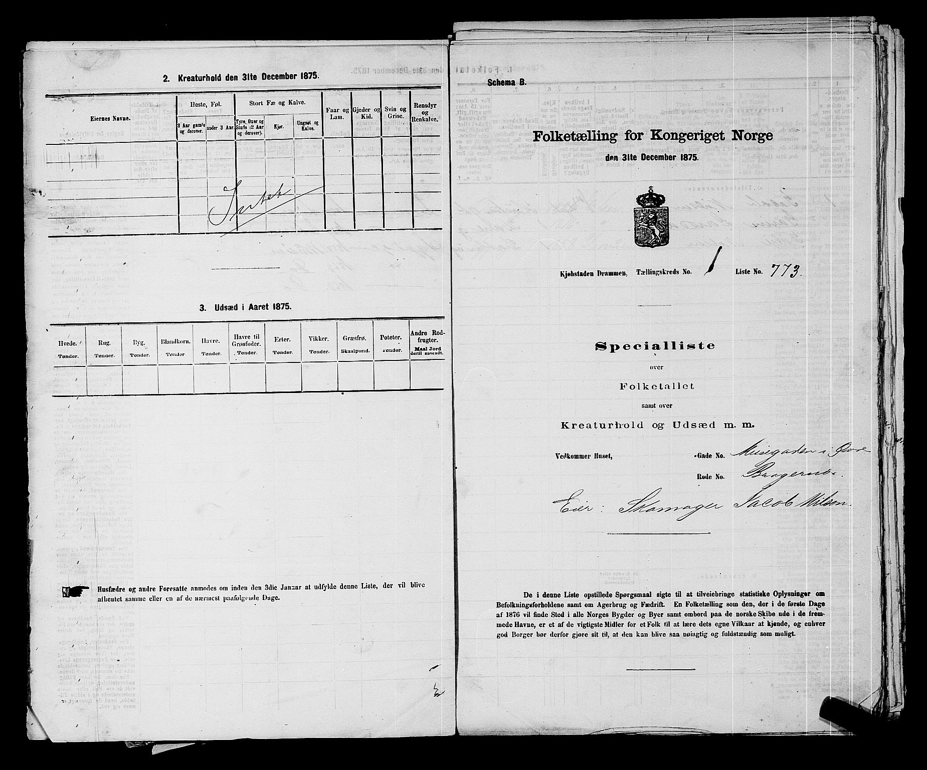 SAKO, 1875 census for 0602 Drammen, 1875, p. 138