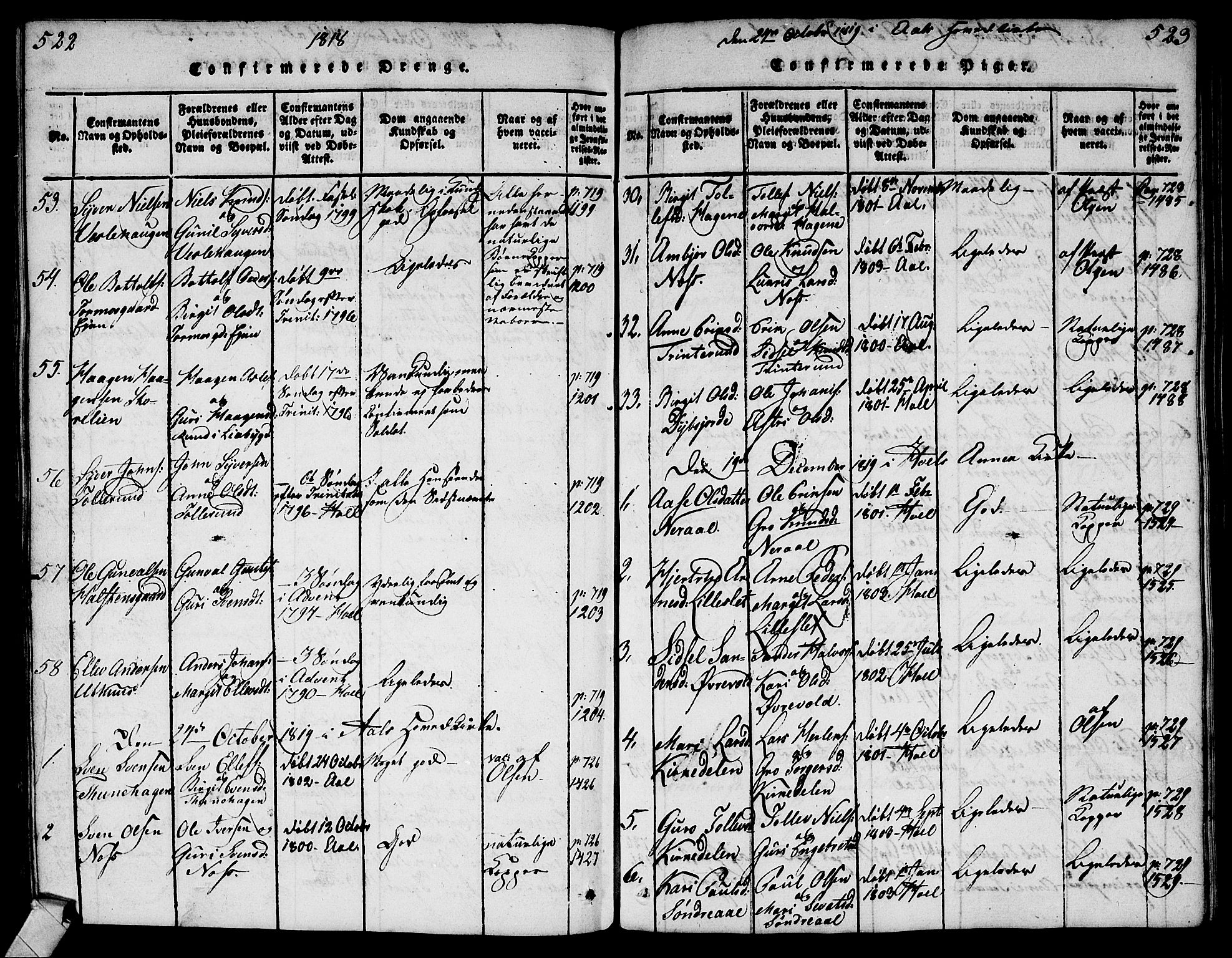 Ål kirkebøker, AV/SAKO-A-249/G/Ga/L0001: Parish register (copy) no. 1, 1815-1829, p. 524-525