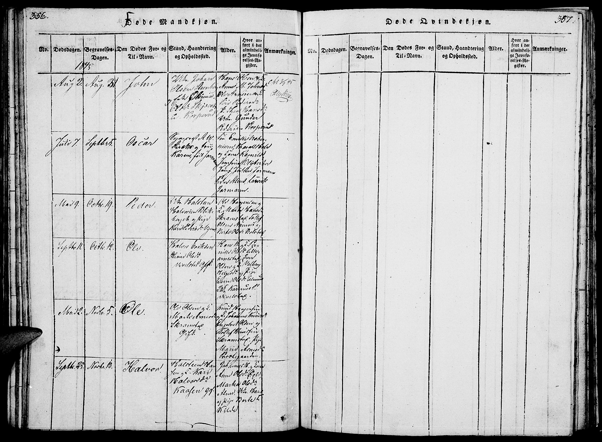Åmot prestekontor, Hedmark, SAH/PREST-056/H/Ha/Hab/L0001: Parish register (copy) no. 1, 1815-1847, p. 356-357