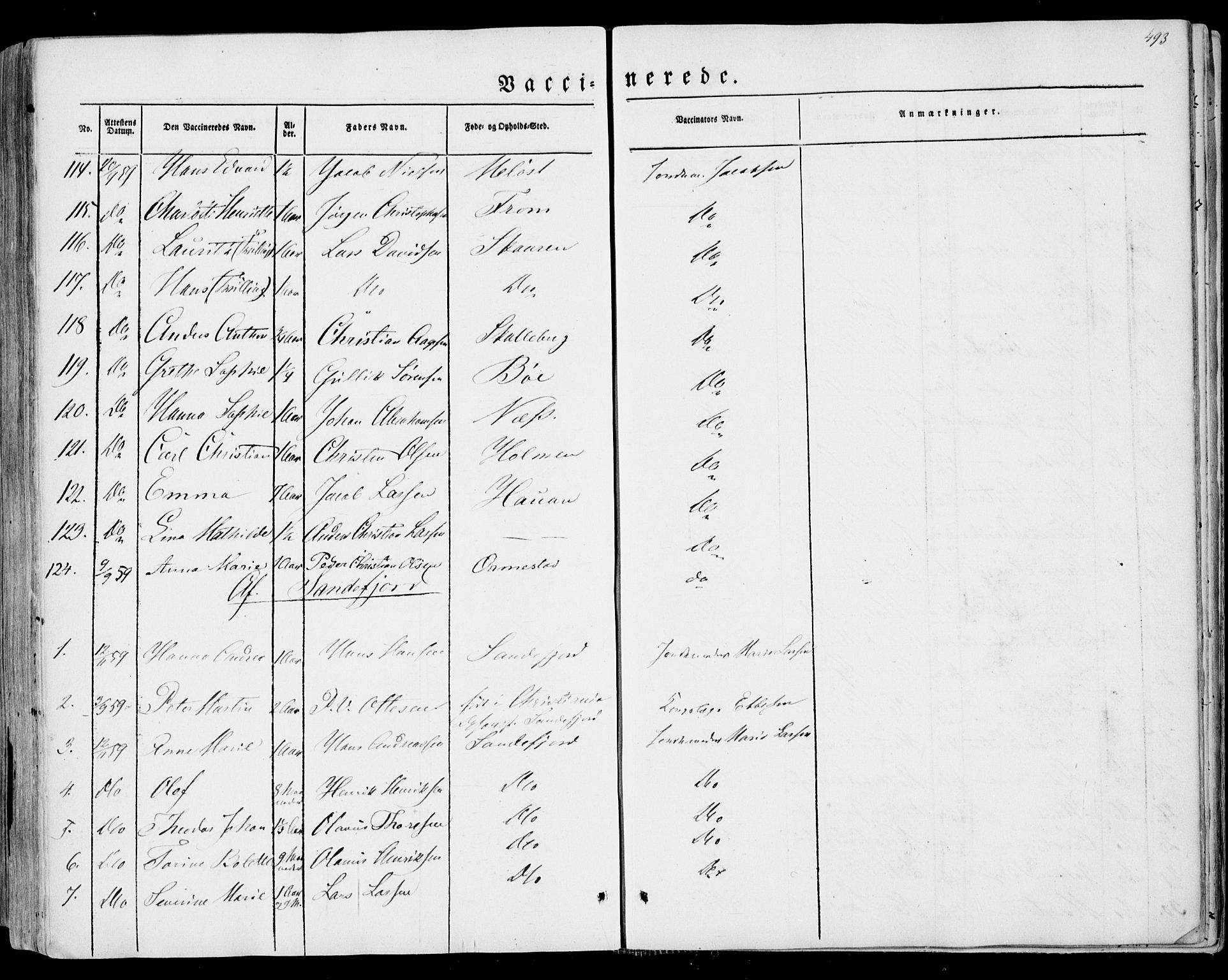 Sandar kirkebøker, AV/SAKO-A-243/F/Fa/L0007: Parish register (official) no. 7, 1855-1861, p. 493