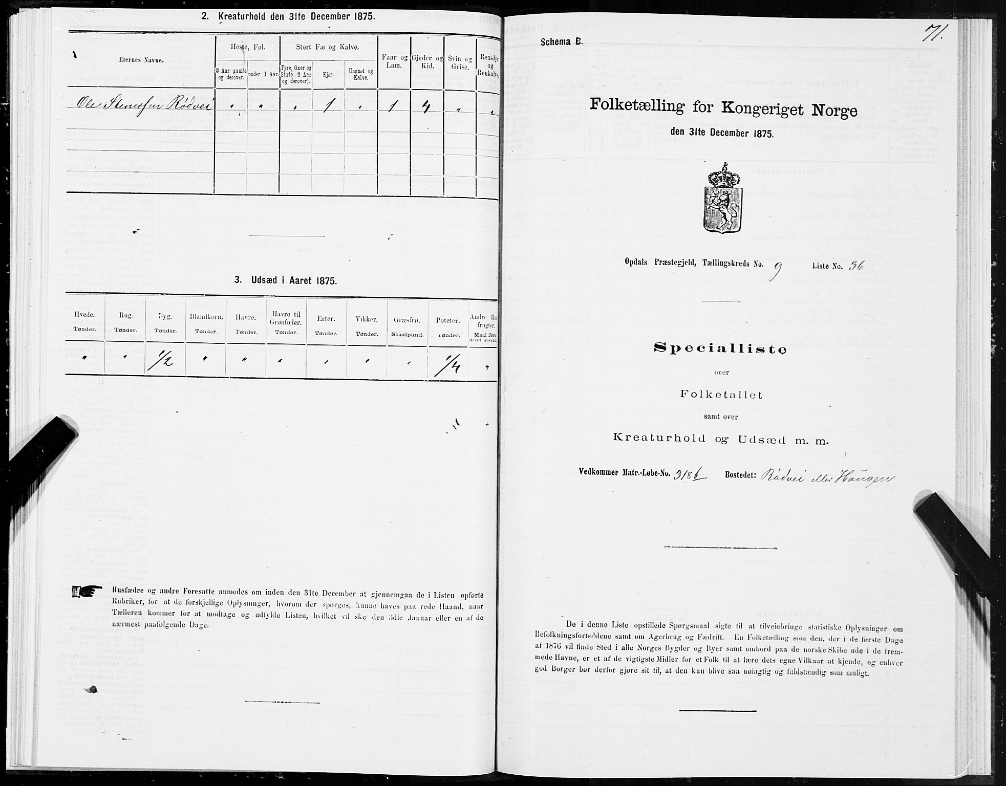 SAT, 1875 census for 1634P Oppdal, 1875, p. 6071