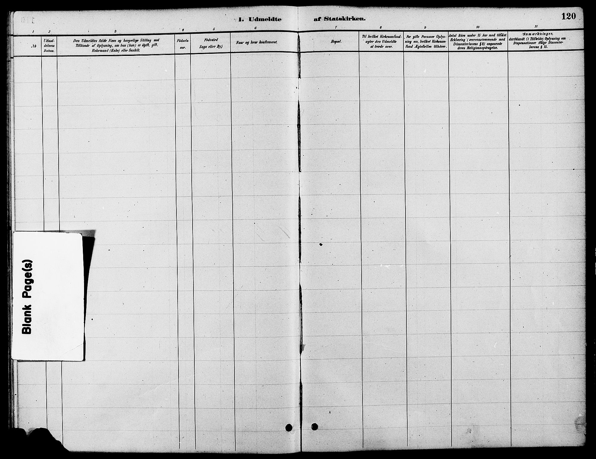 Tynset prestekontor, AV/SAH-PREST-058/H/Ha/Hab/L0007: Parish register (copy) no. 7, 1880-1901, p. 120