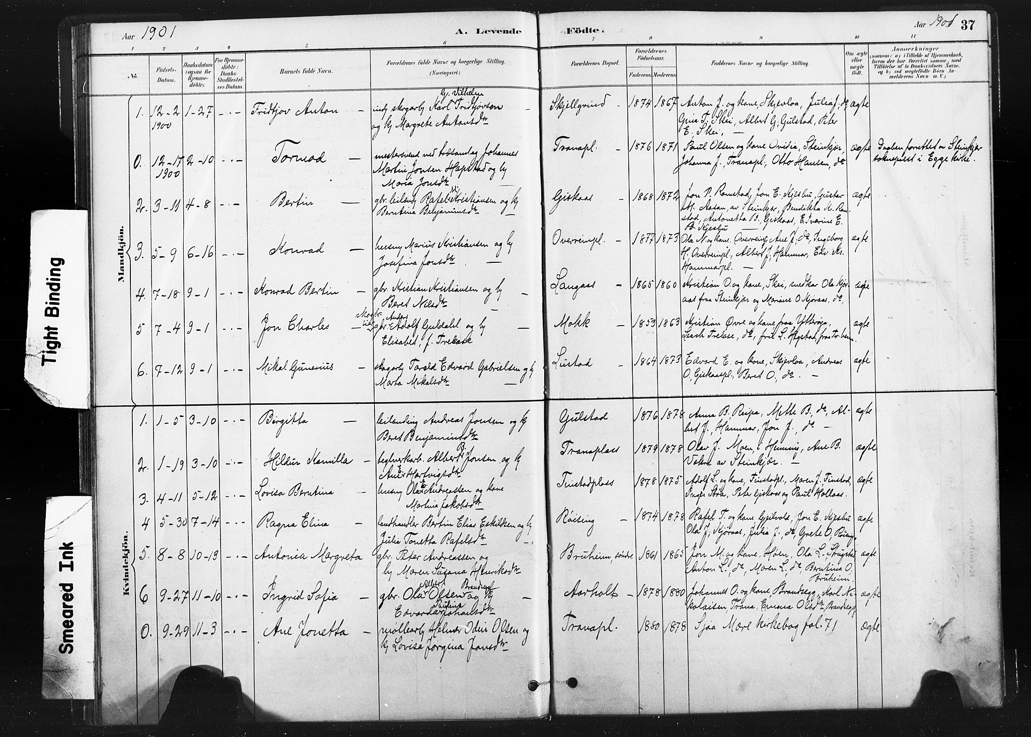Ministerialprotokoller, klokkerbøker og fødselsregistre - Nord-Trøndelag, SAT/A-1458/736/L0361: Parish register (official) no. 736A01, 1884-1906, p. 37