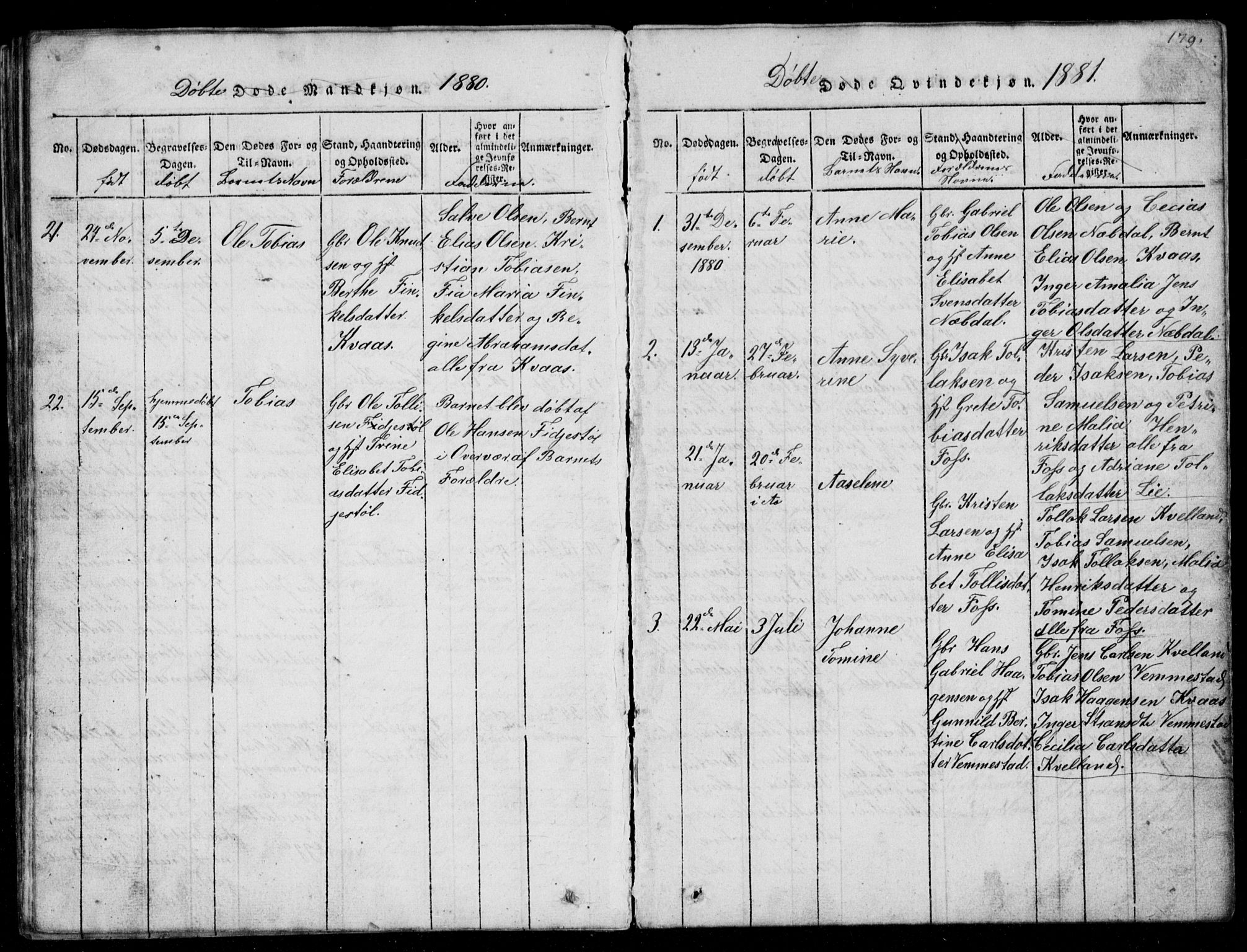 Lyngdal sokneprestkontor, AV/SAK-1111-0029/F/Fb/Fbb/L0001: Parish register (copy) no. B 1, 1816-1900, p. 179