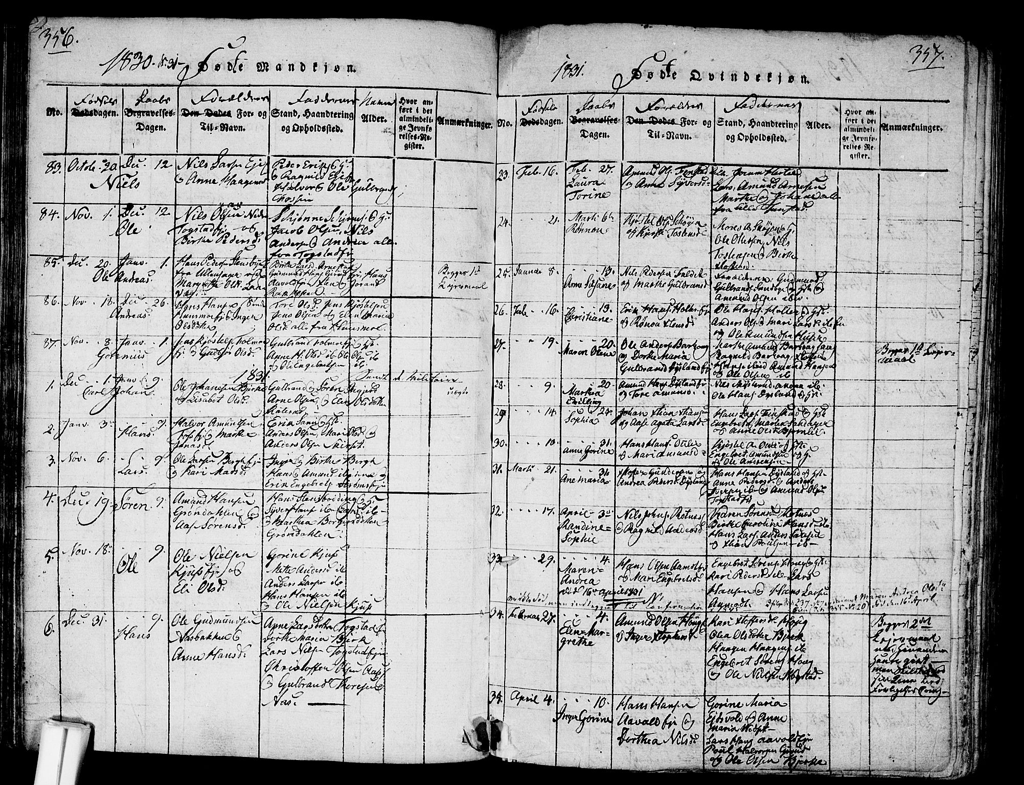 Nes prestekontor Kirkebøker, SAO/A-10410/G/Ga/L0001: Parish register (copy) no. I 1, 1815-1835, p. 356-357