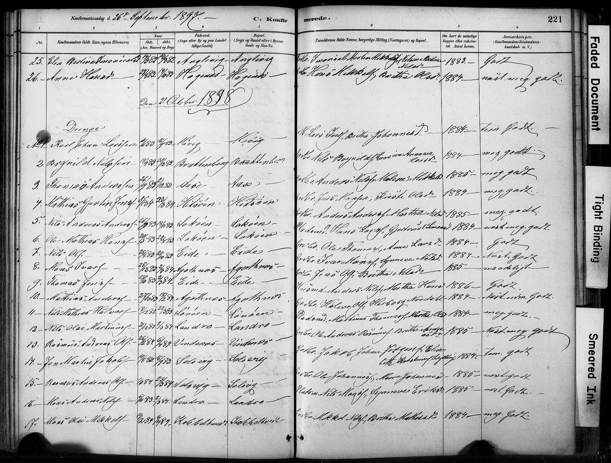 Fjell sokneprestembete, SAB/A-75301/H/Hab: Parish register (copy) no. A 4, 1880-1899, p. 221