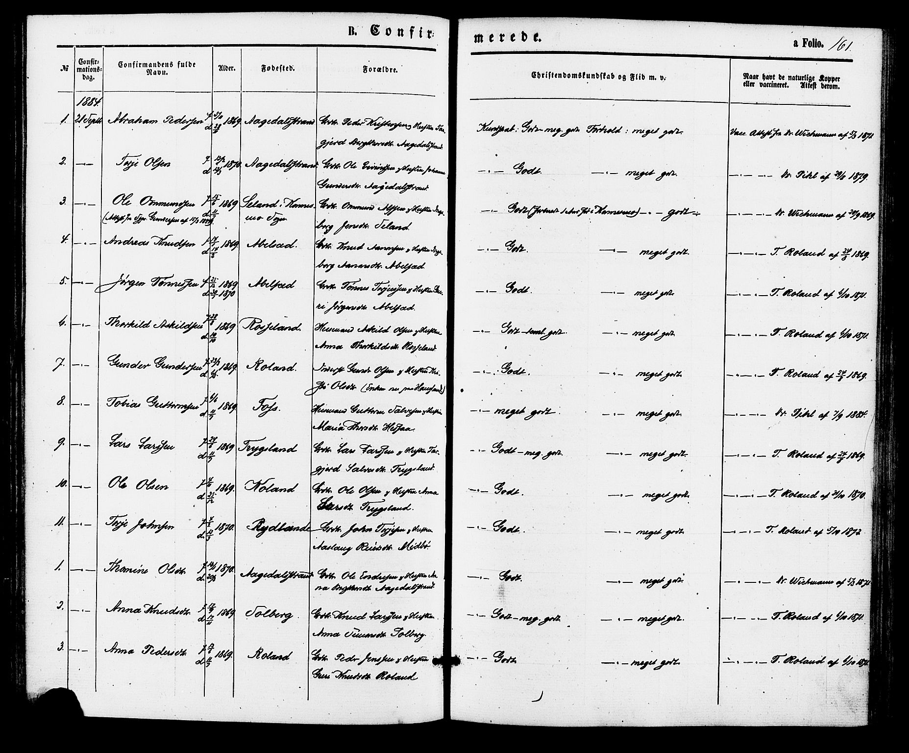 Bjelland sokneprestkontor, SAK/1111-0005/F/Fa/Faa/L0003: Parish register (official) no. A 3, 1867-1887, p. 161