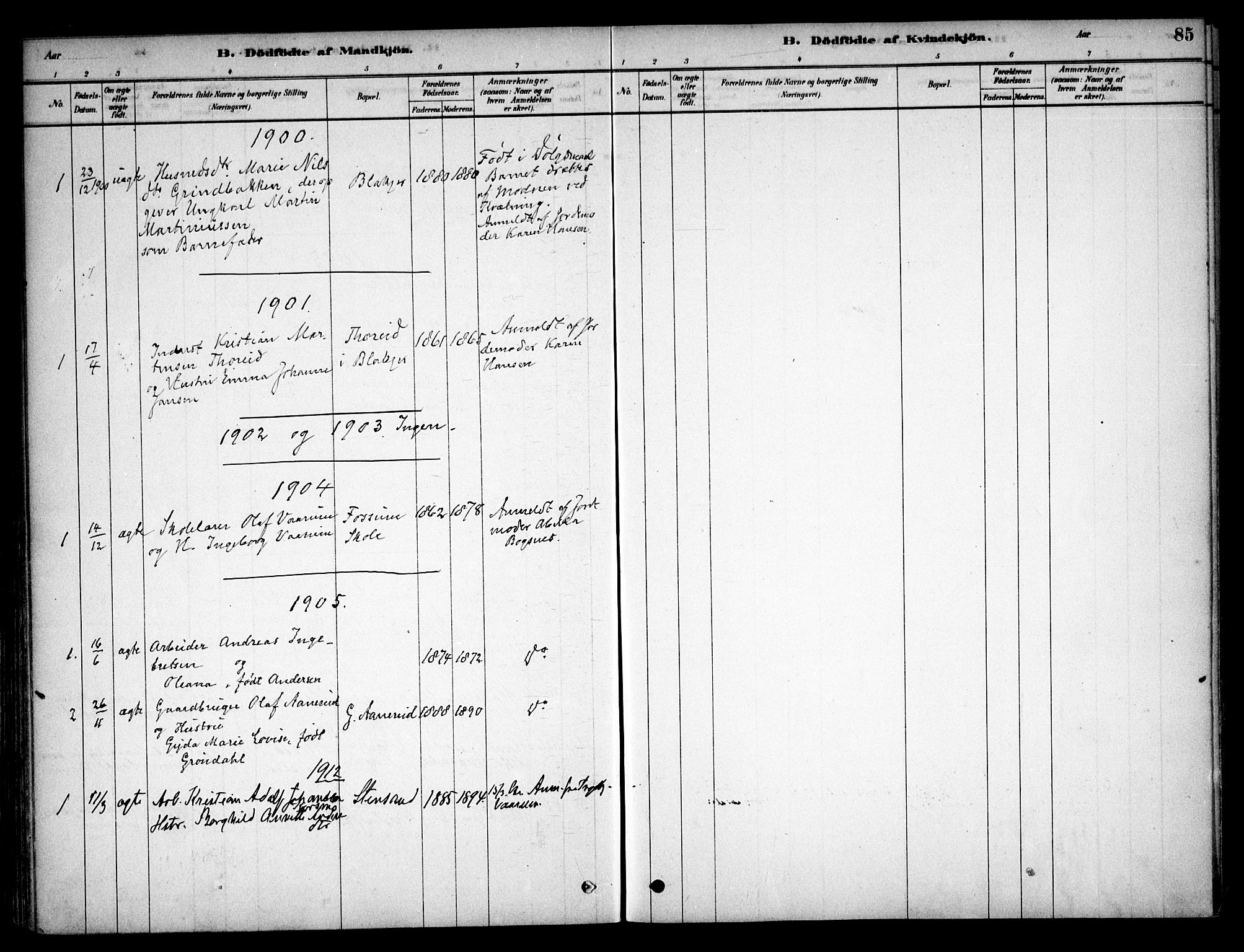 Aurskog prestekontor Kirkebøker, SAO/A-10304a/F/Fb/L0001: Parish register (official) no. II 1, 1878-1909, p. 85