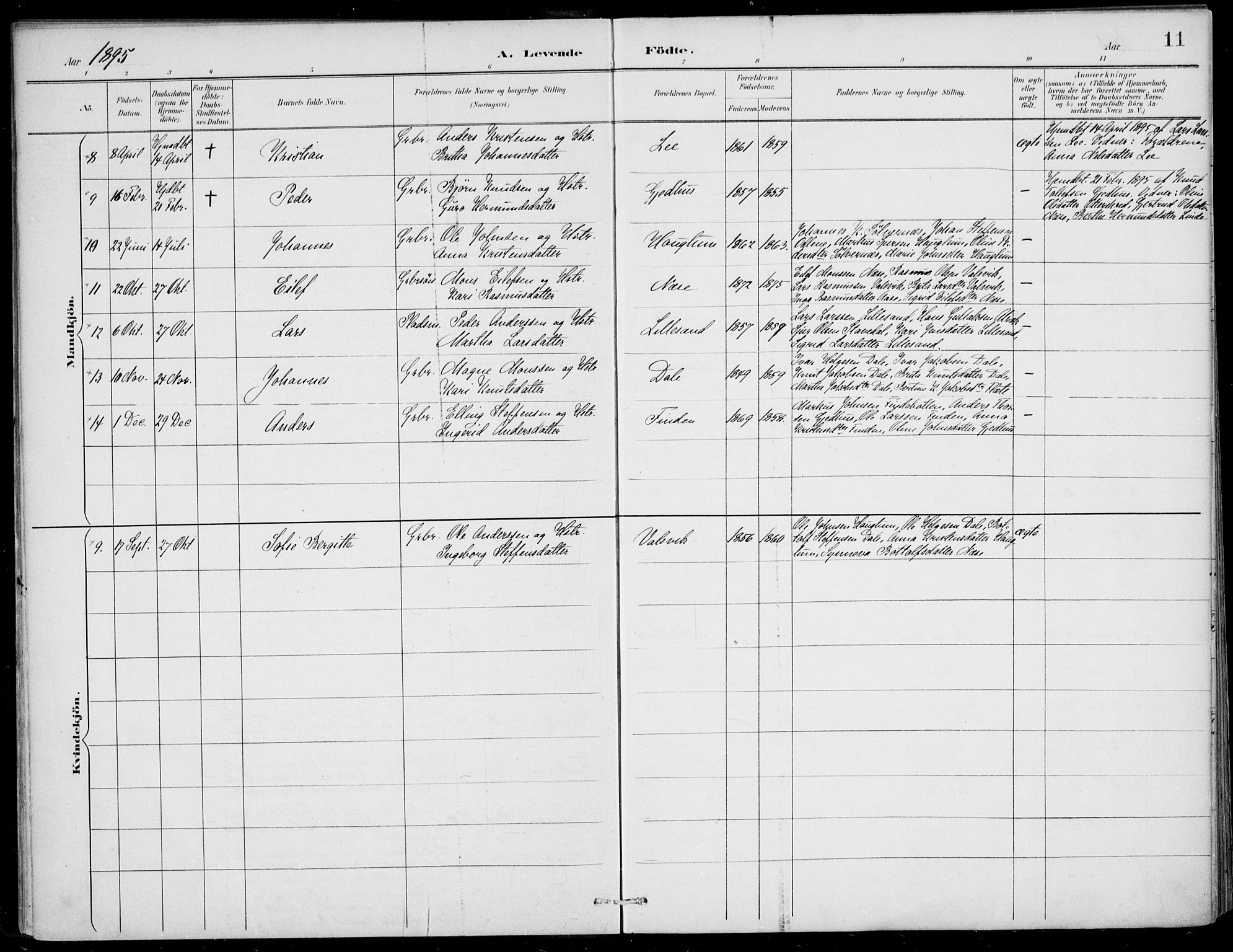 Vik sokneprestembete, AV/SAB-A-81501/H/Haa/Haac/L0002: Parish register (official) no. C  2, 1891-1910, p. 11