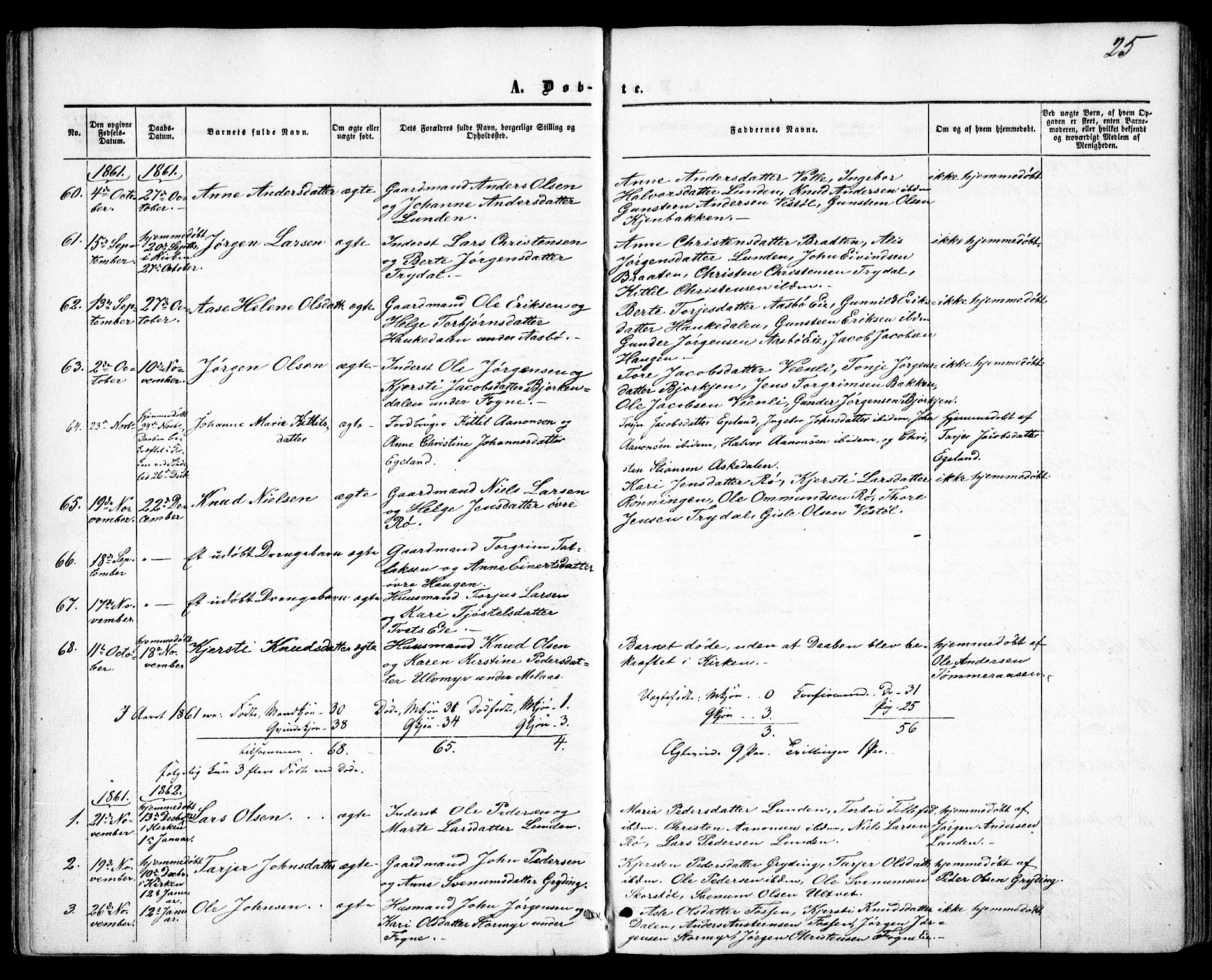 Gjerstad sokneprestkontor, SAK/1111-0014/F/Fa/Faa/L0007: Parish register (official) no. A 7, 1858-1875, p. 25
