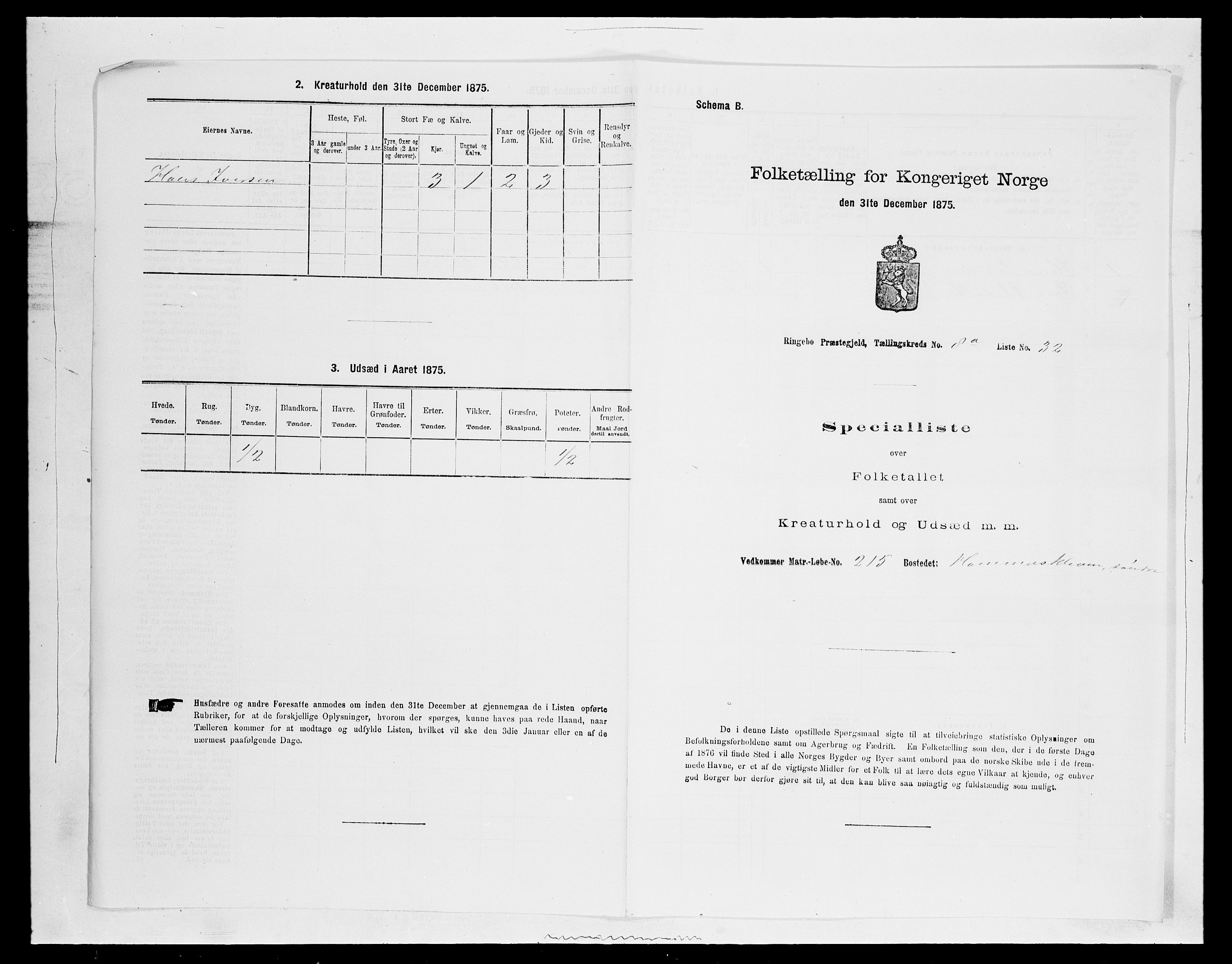 SAH, 1875 census for 0520P Ringebu, 1875, p. 1243